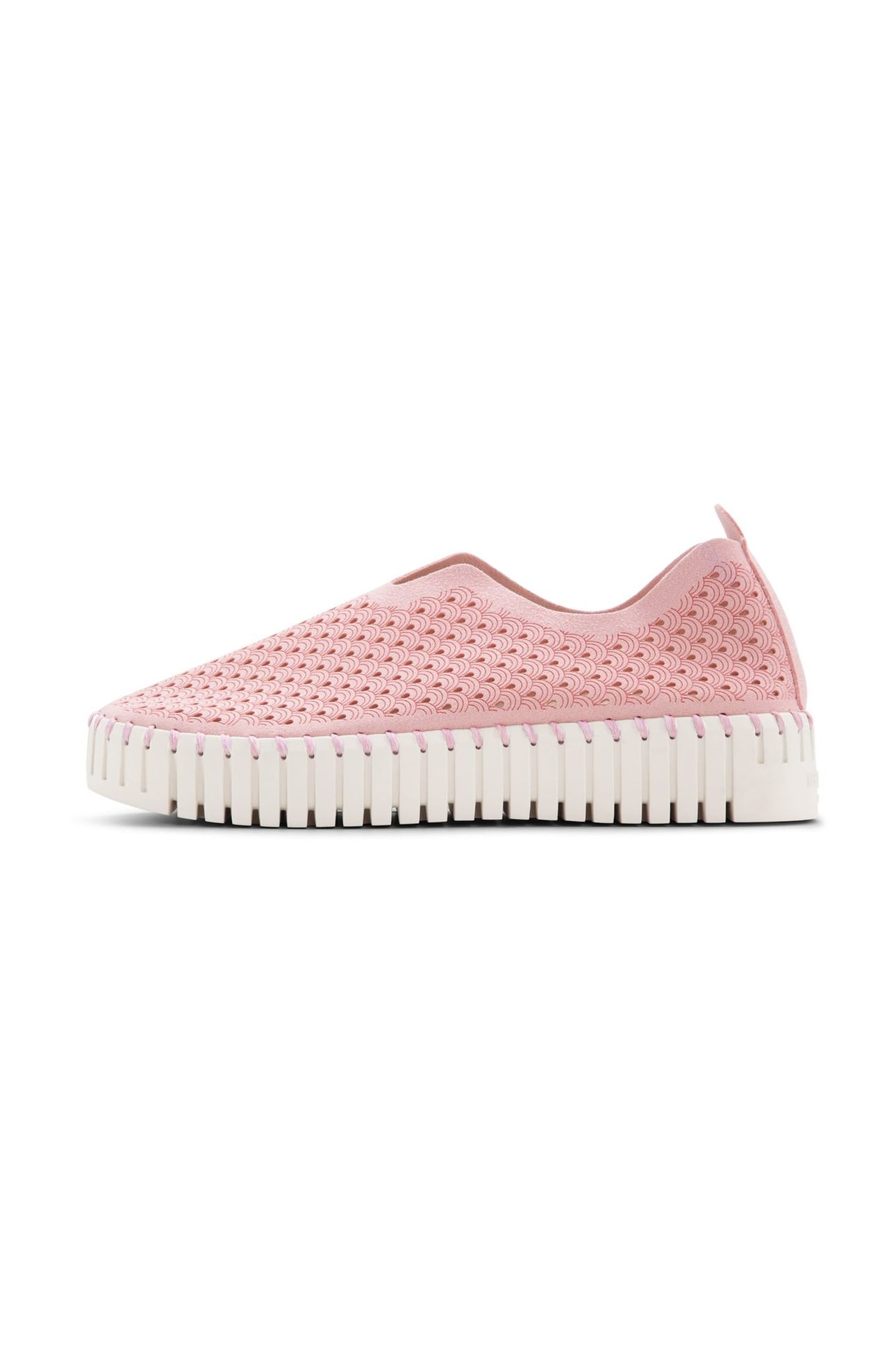 FLATS TULIP3373 ADOBE ROSE 2