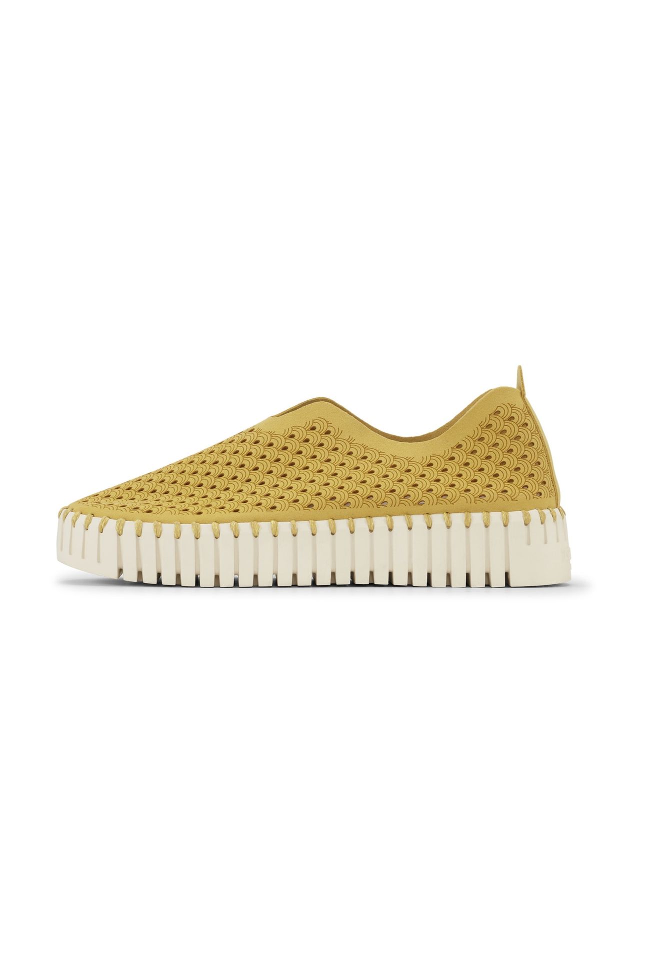 FLATS TULIP3373 GOLDEN ROD 9