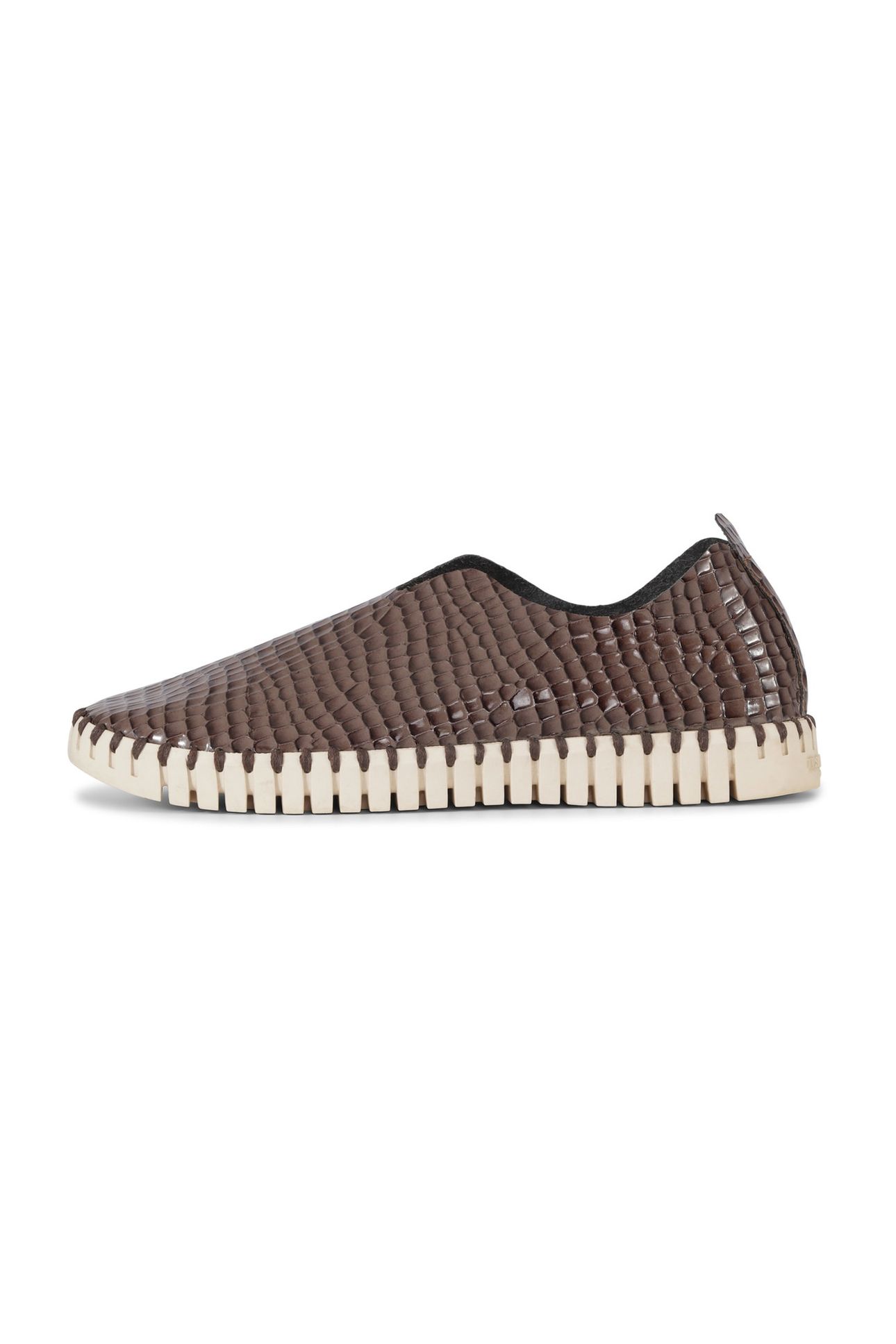 FLATS TULIP3031 MUD 1