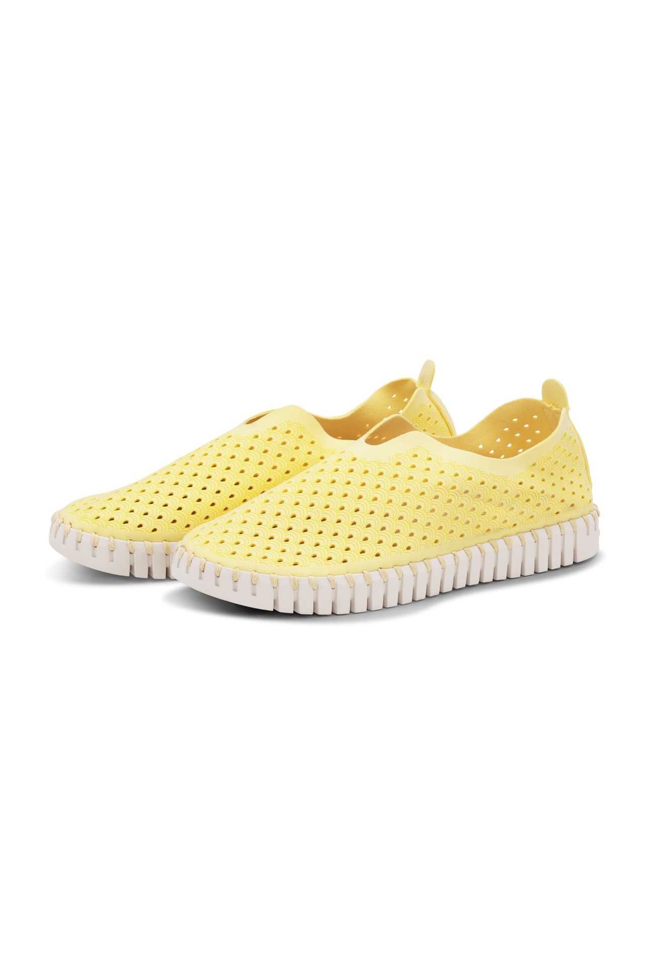 FLATS TULIP3275 LEMON DROP 5