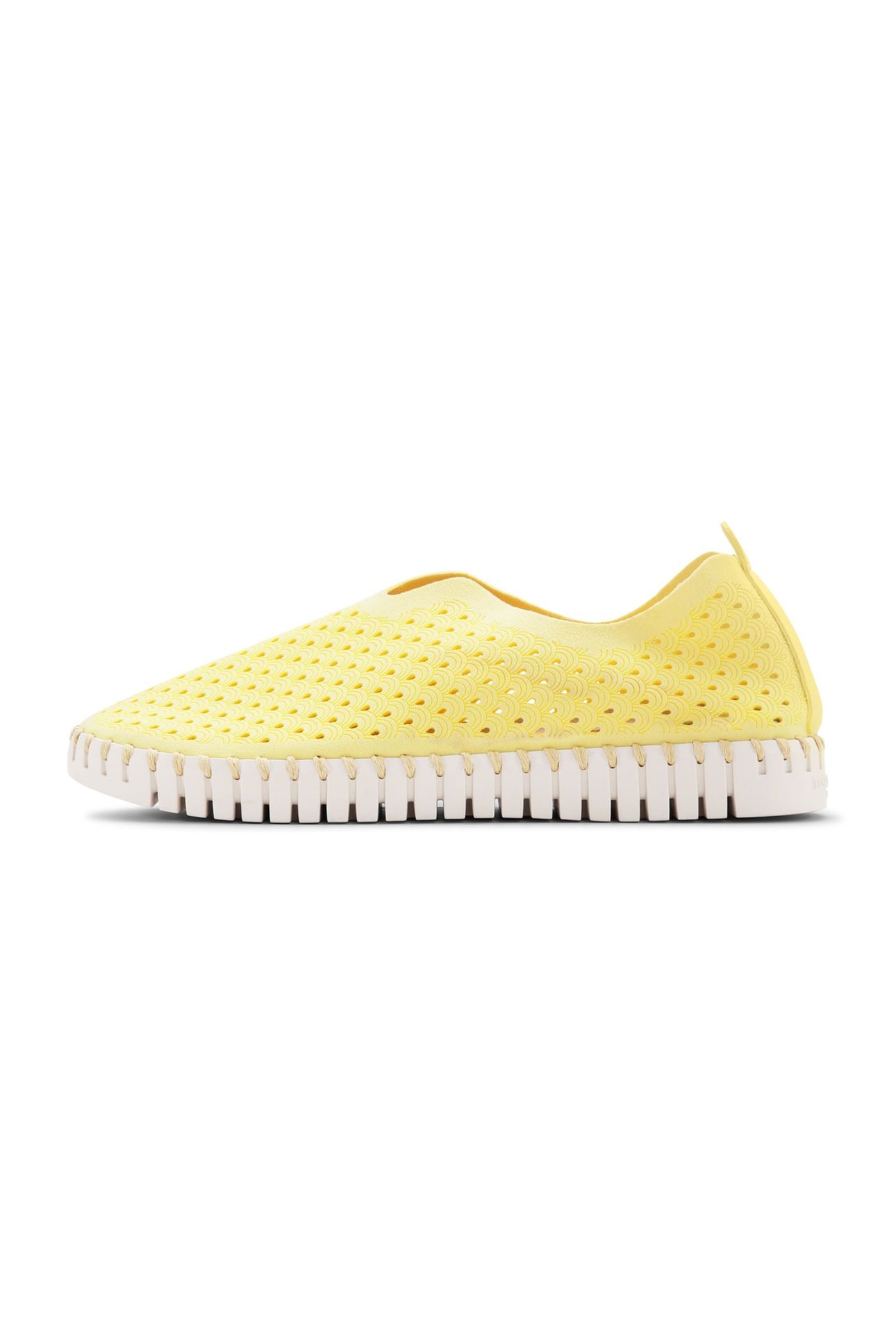 FLATS TULIP3275 LEMON DROP 1