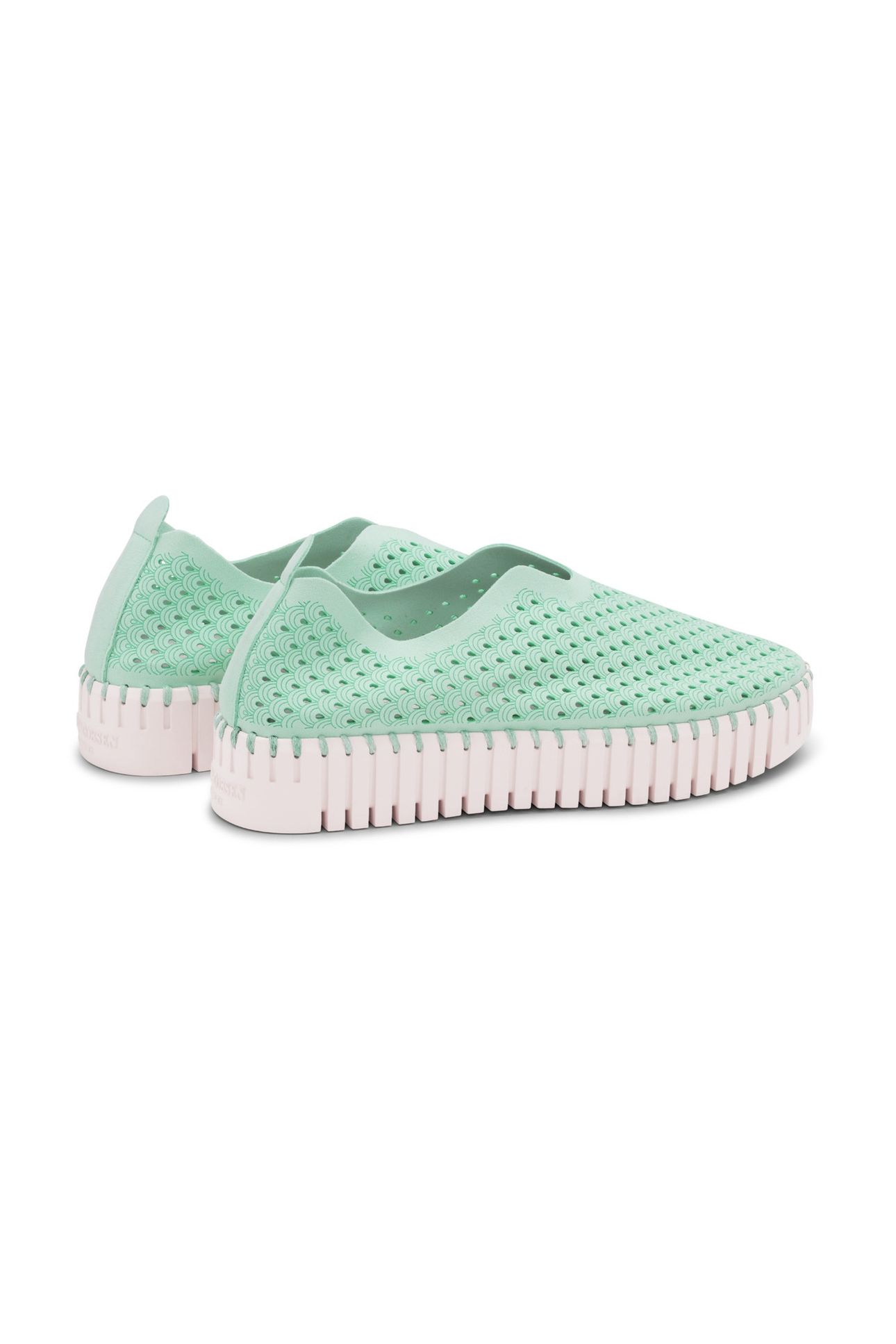 FLATS TULIP3373 YUCCA 7