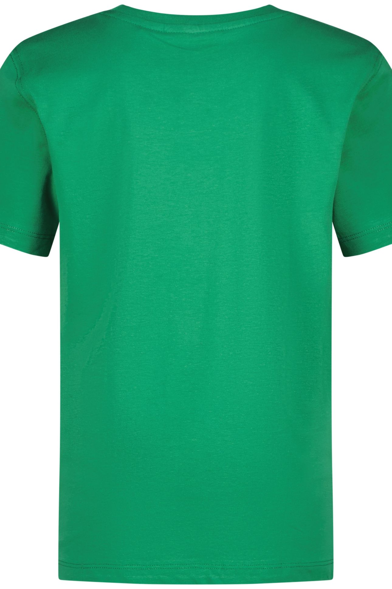 BASIC-LOGO CACTUS GREEN 3
