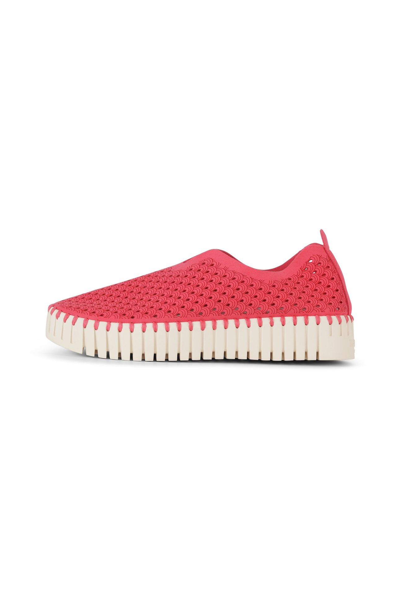 FLATS TULIP3373 VIVA MAGENTA 1