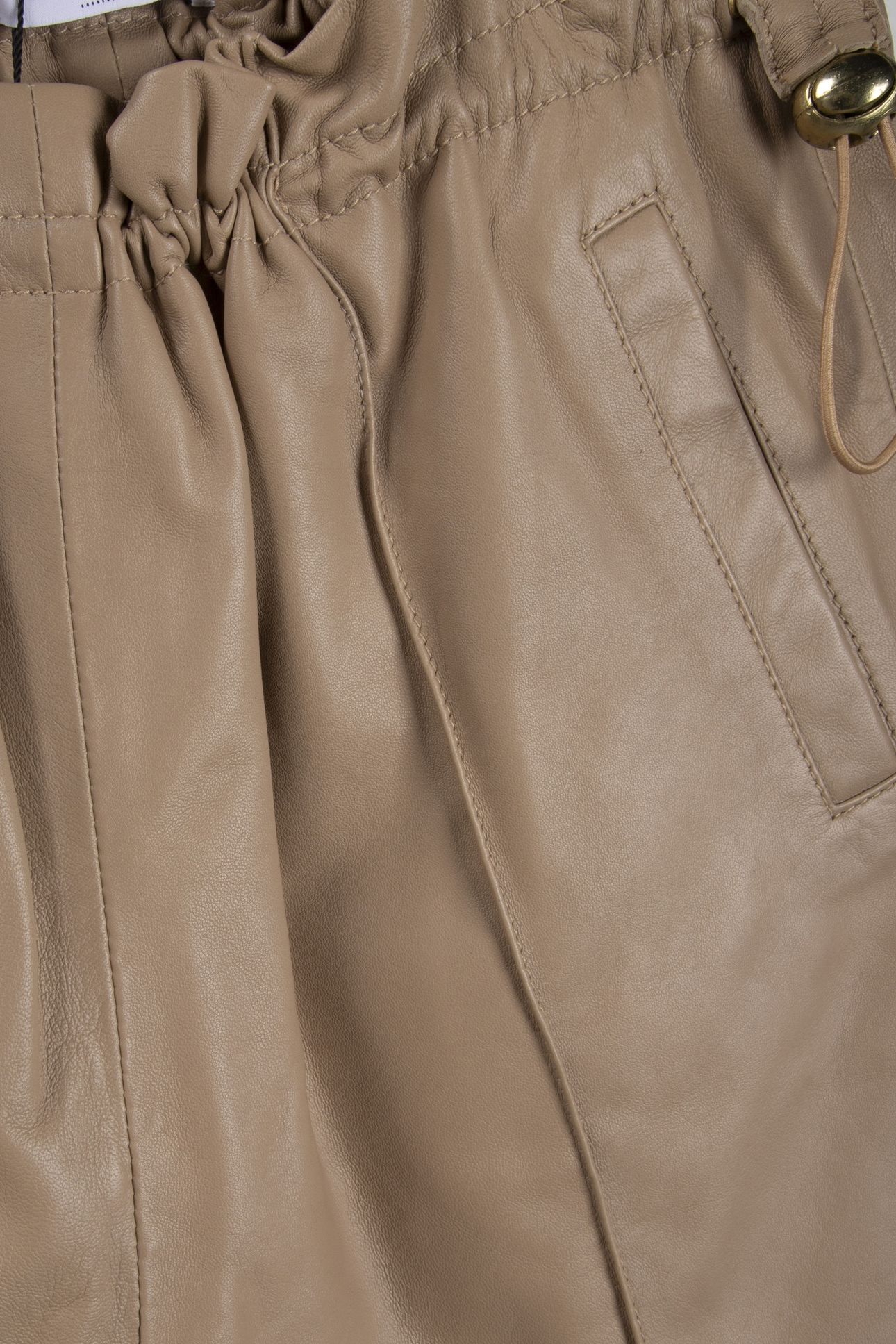 SHIVA CAMEL 4