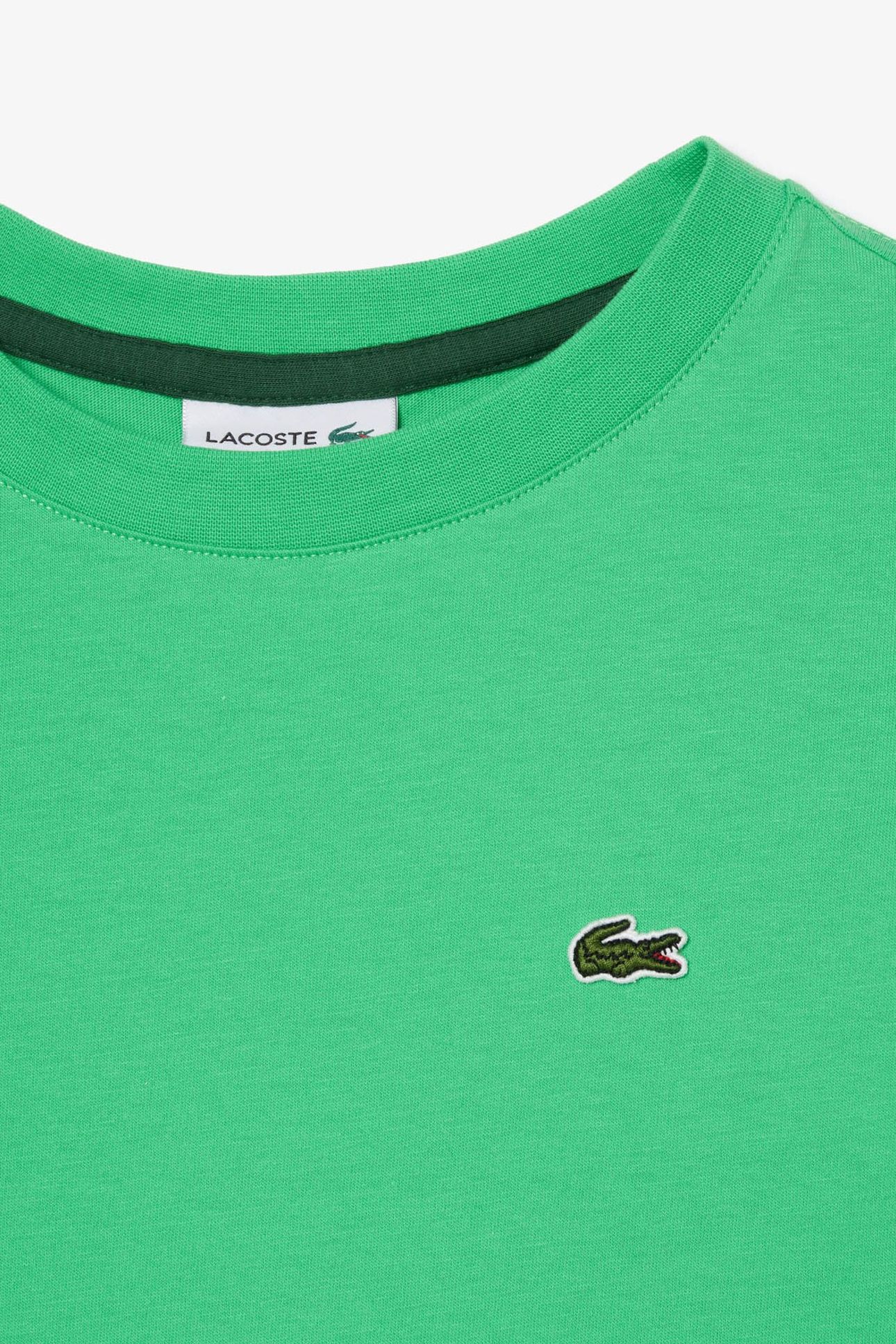 CHILDREN TEE-SHIRT PEPPERMINT 5