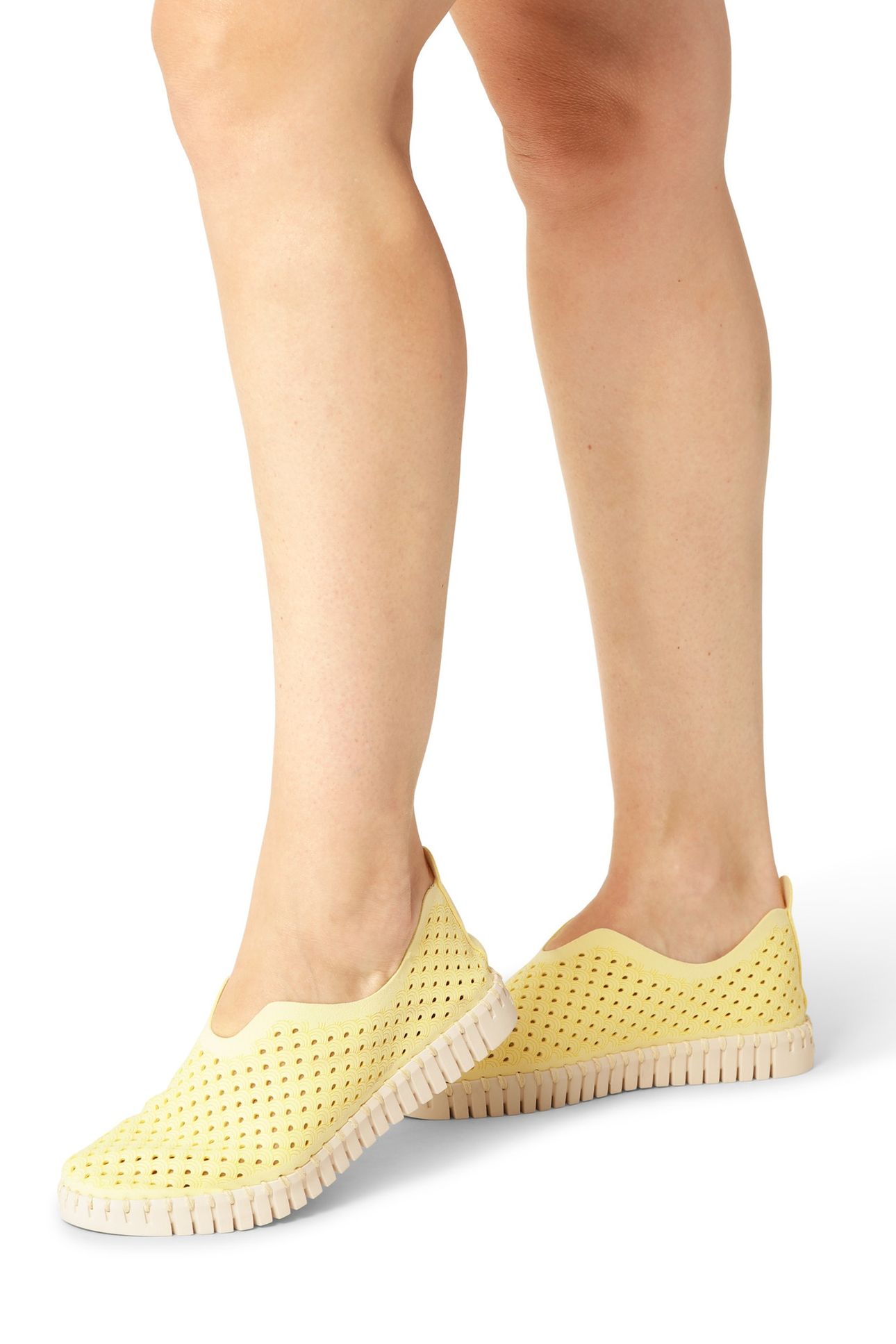 FLATS TULIP3275 LEMON DROP 2