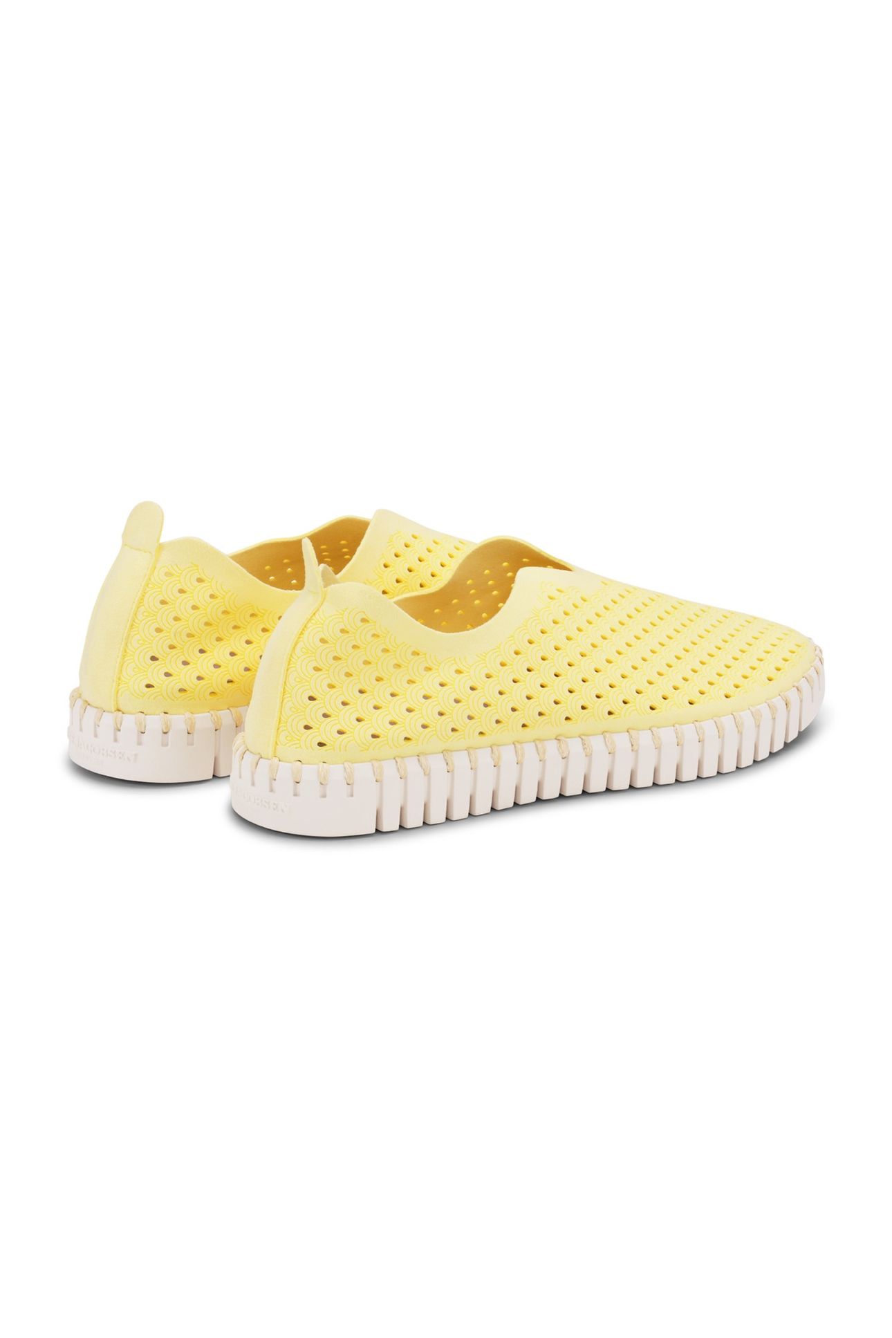 FLATS TULIP3275 LEMON DROP 6