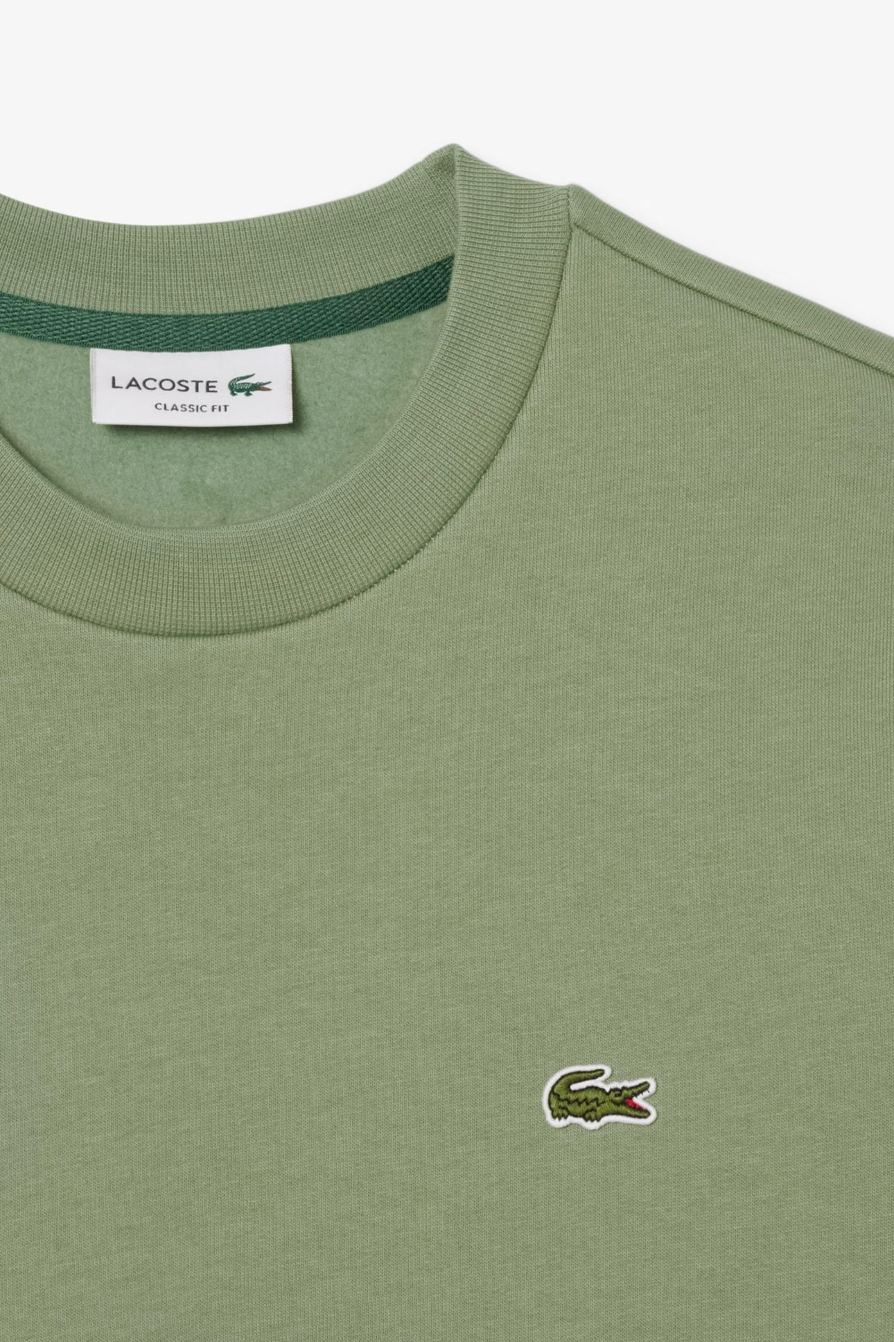 SWEATSHIRT THYME 3