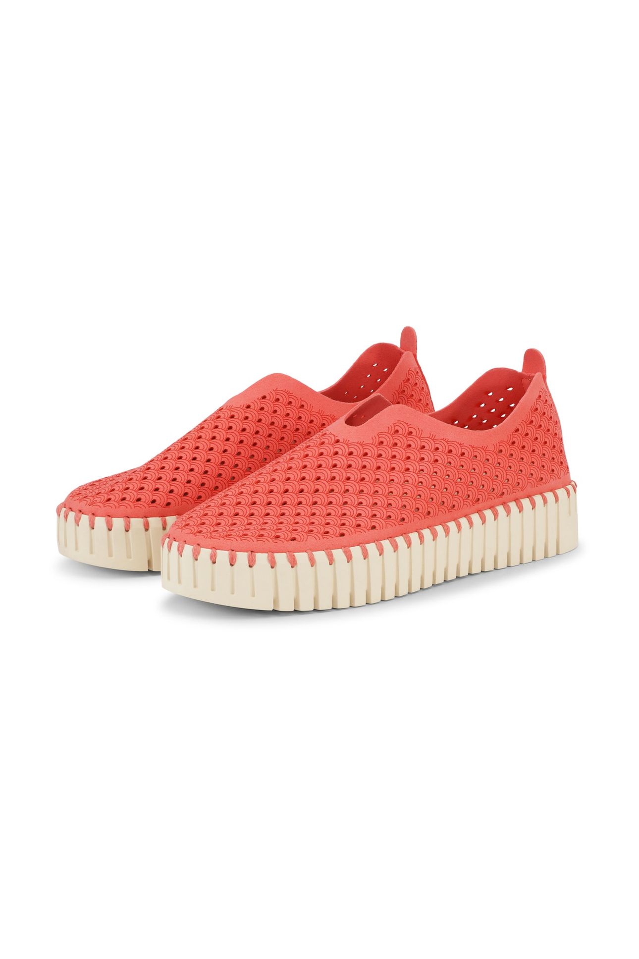 FLATS TULIP3373 RASPBERRY 6