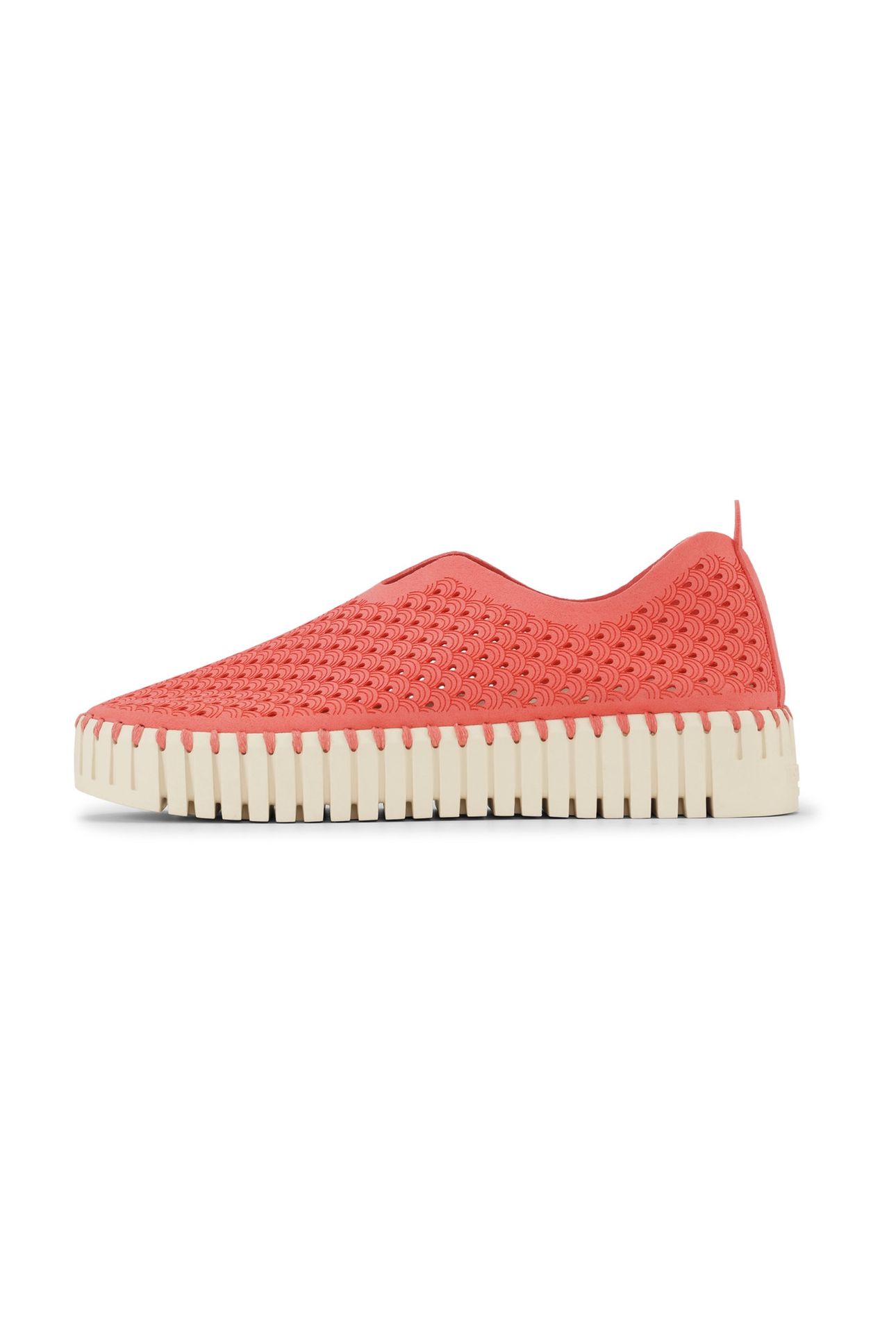 FLATS TULIP3373 RASPBERRY 3