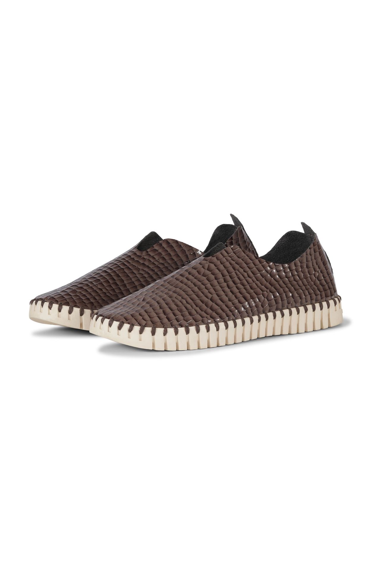 FLATS TULIP3031 MUD 5