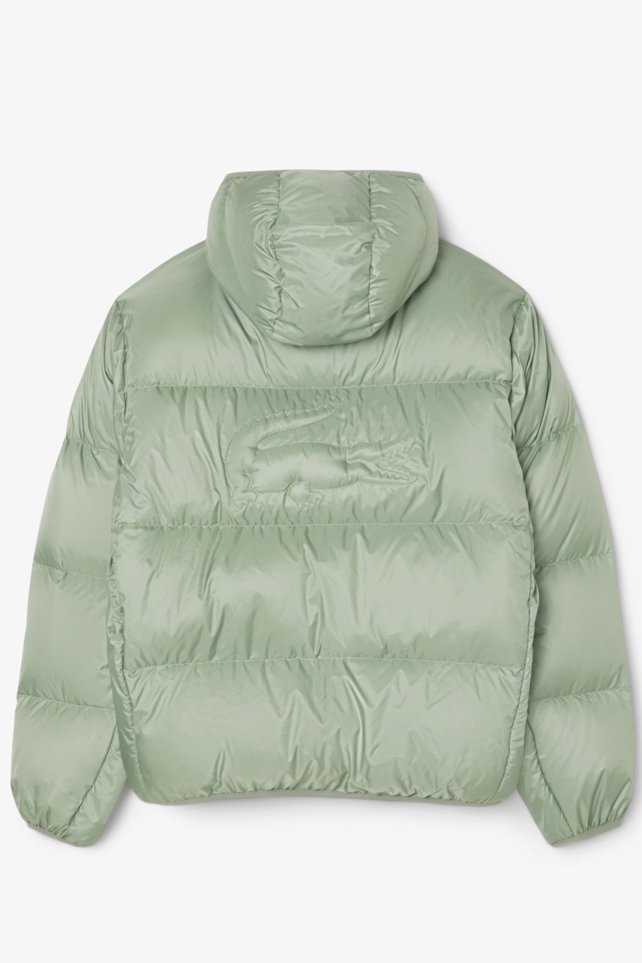 JACKET THYME 5