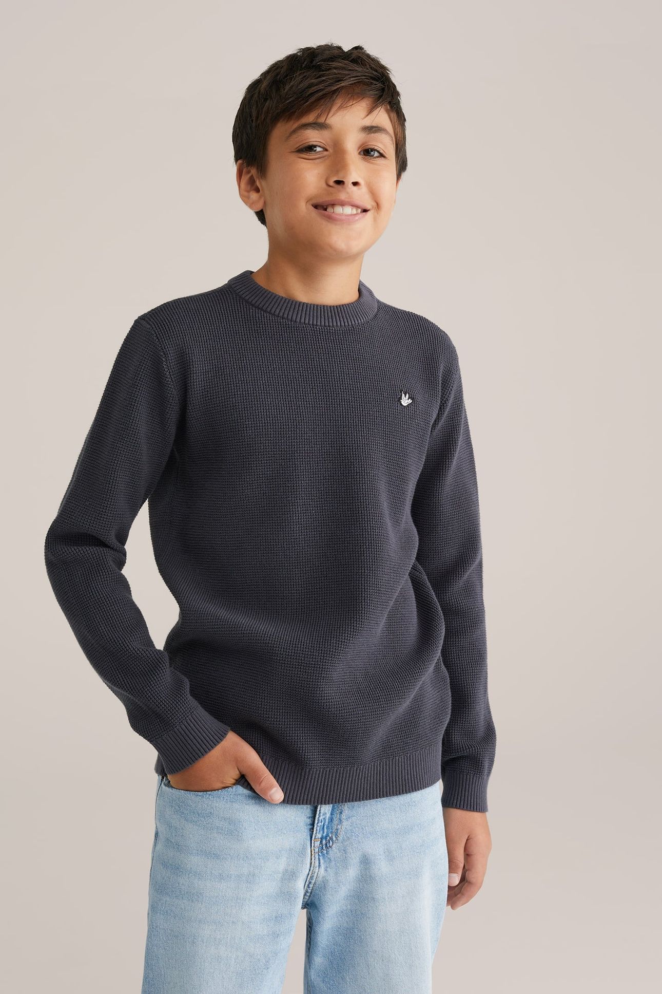 PULLOVER GREY 1