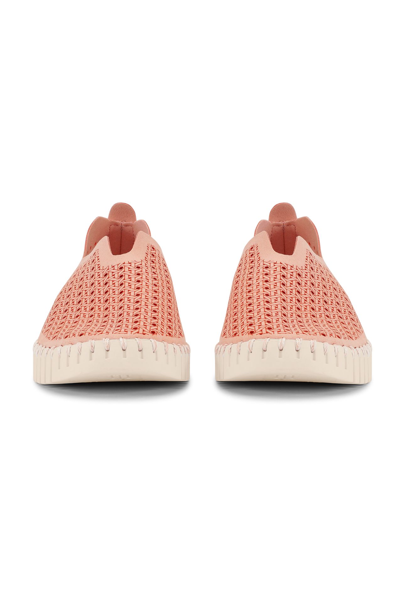 FLATS TULIP4031 ADOBE ROSE PEARLED IVORY 5