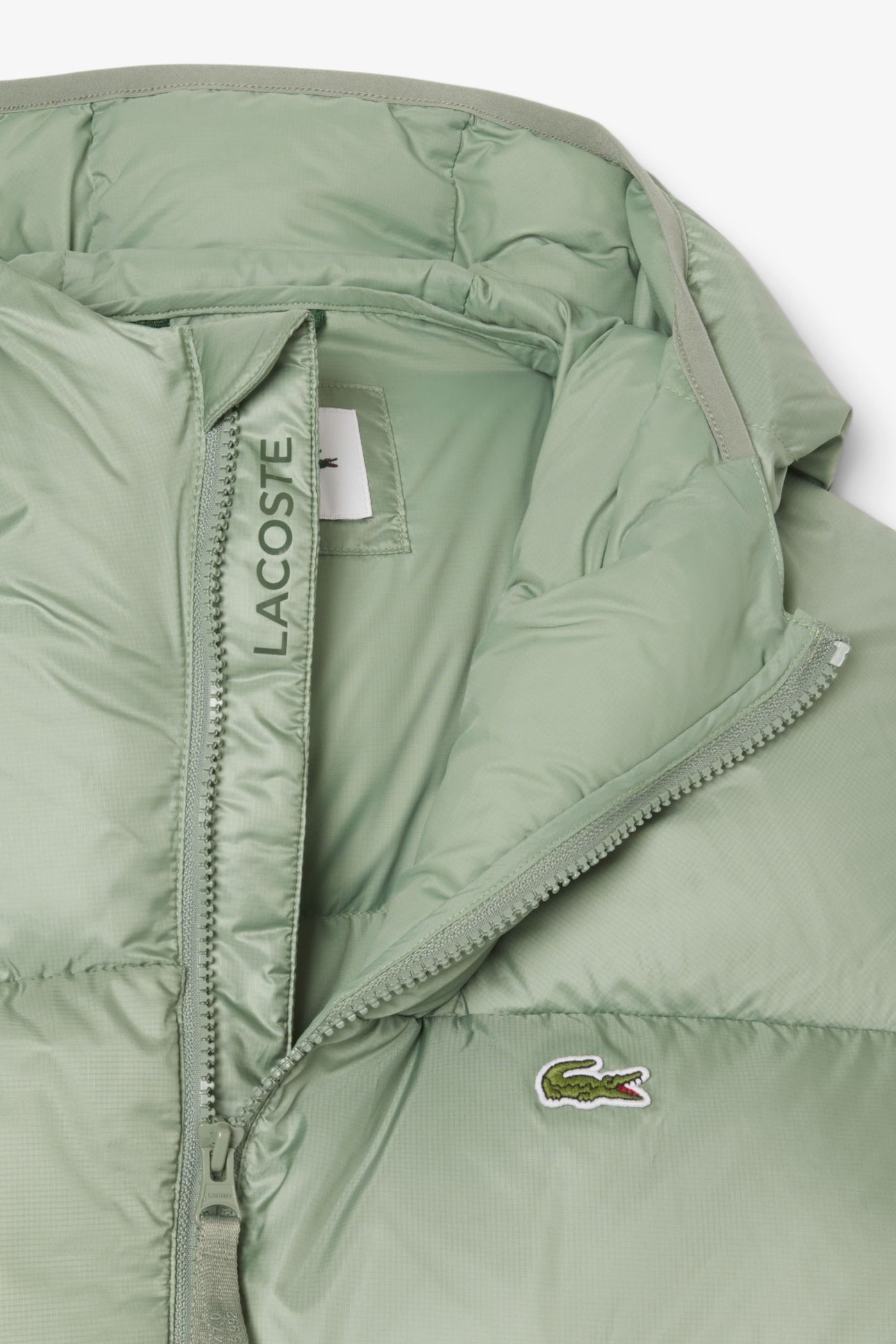 JACKET THYME 6