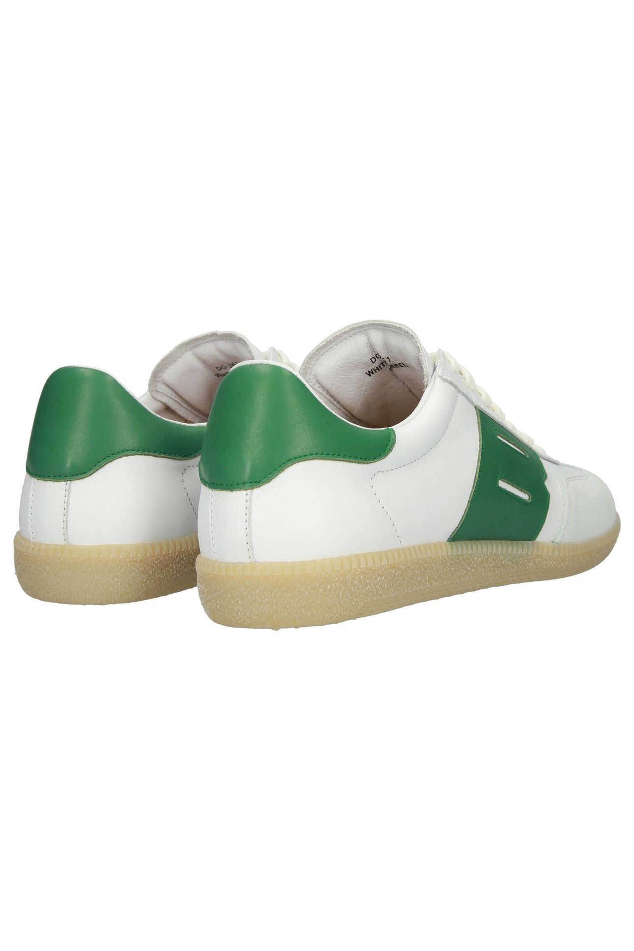 LIME WREN WHITE GREEN 6