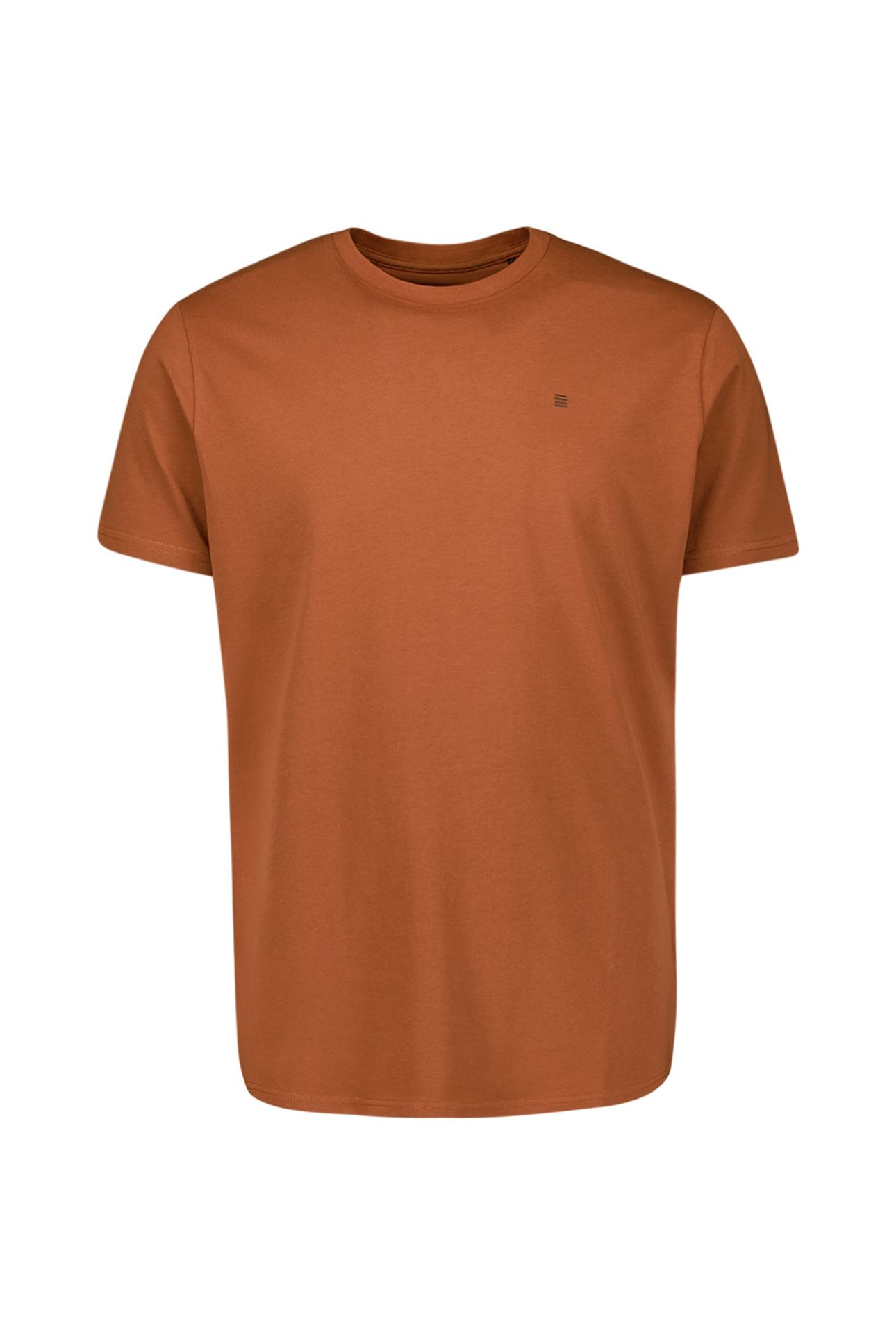 T-SHIRT CREWNECK SOLID BASIC TERRA 5