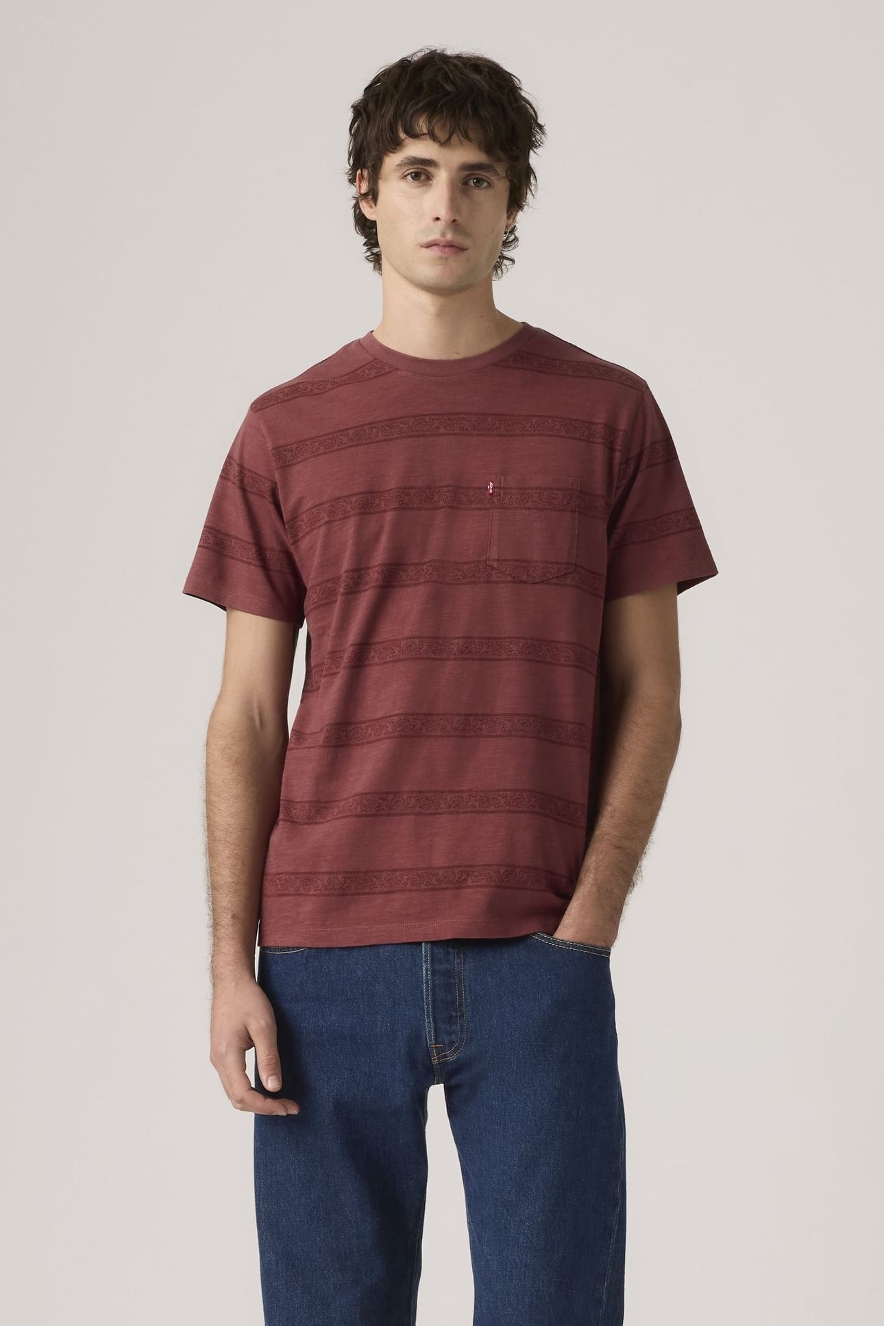SS CLASSIC POCKET TEE KABIR PAISLEY STRI 2
