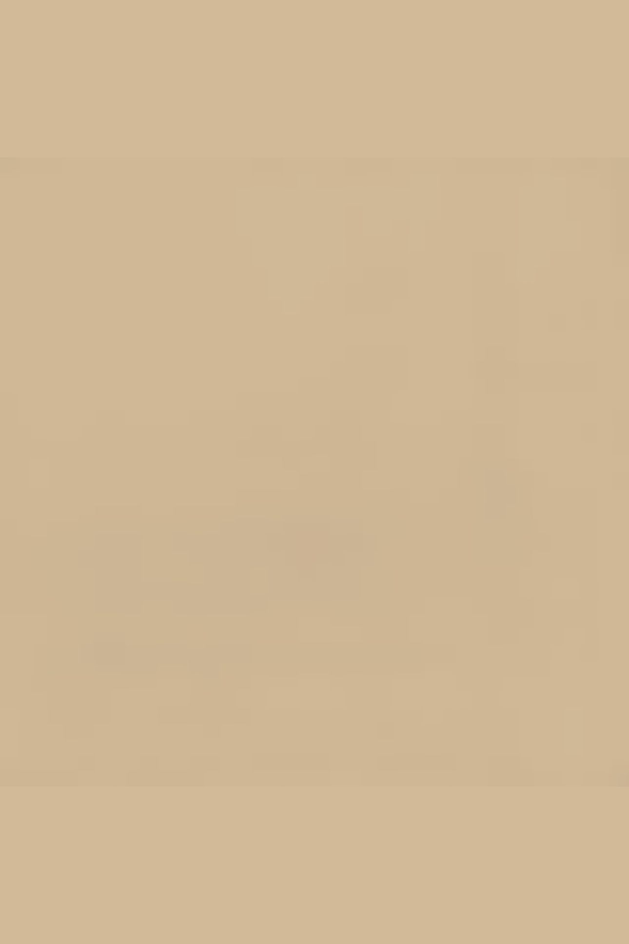 MALEK SHORT BEIGE / LIGHT BEIGE 4
