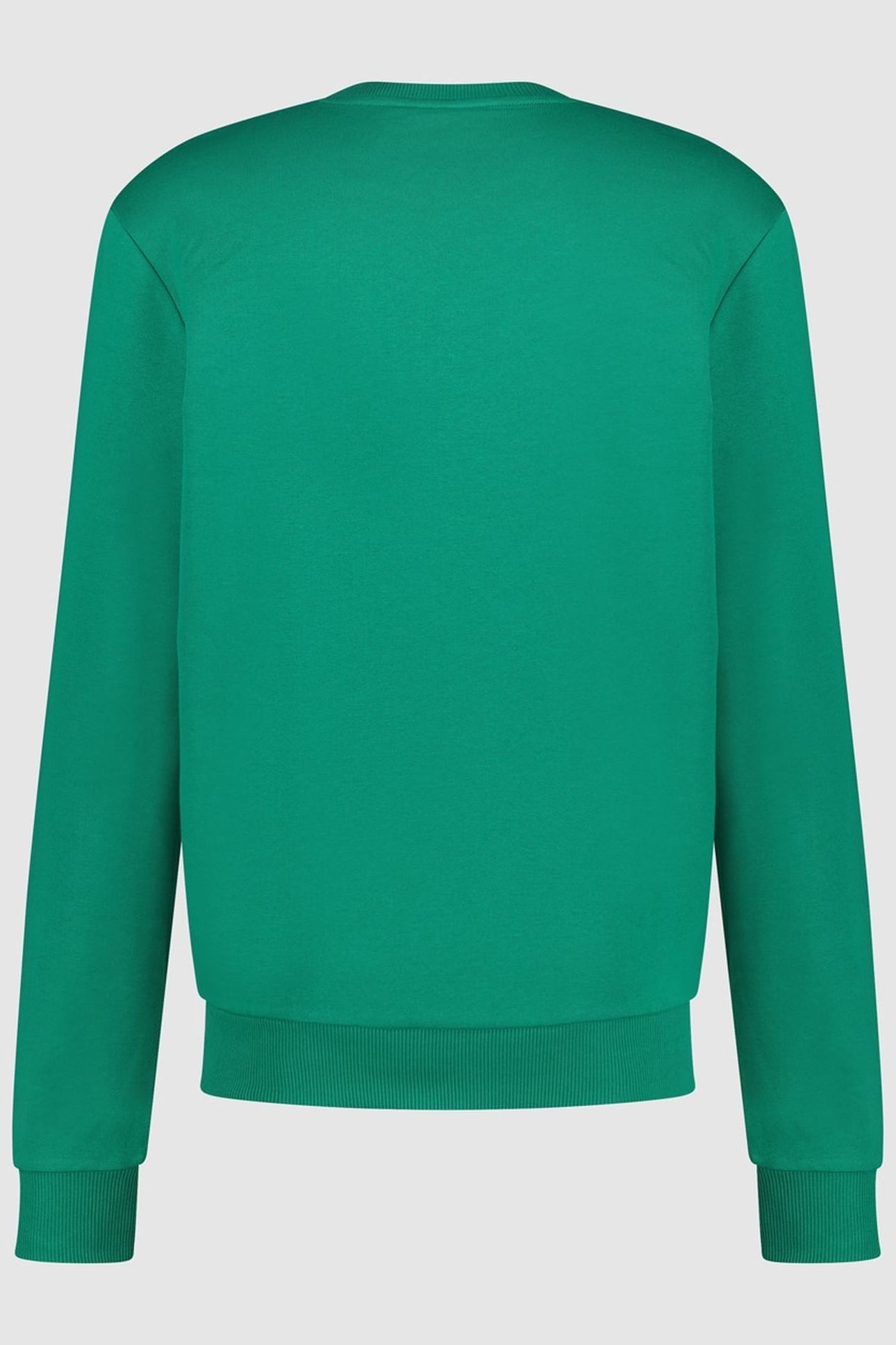 JORDAN SWEAT GREEN EDGE 1