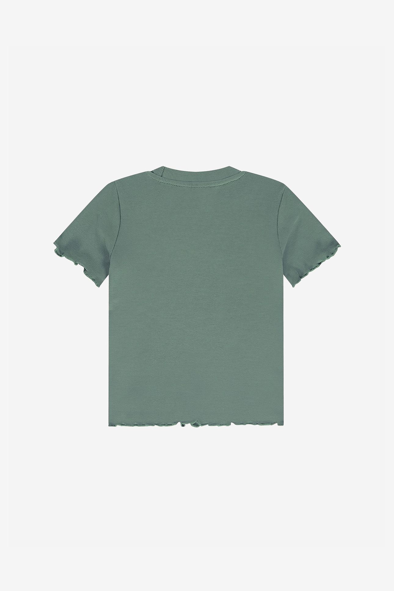 GRADIENT RIB T-SHIRT GREY GREEN 1