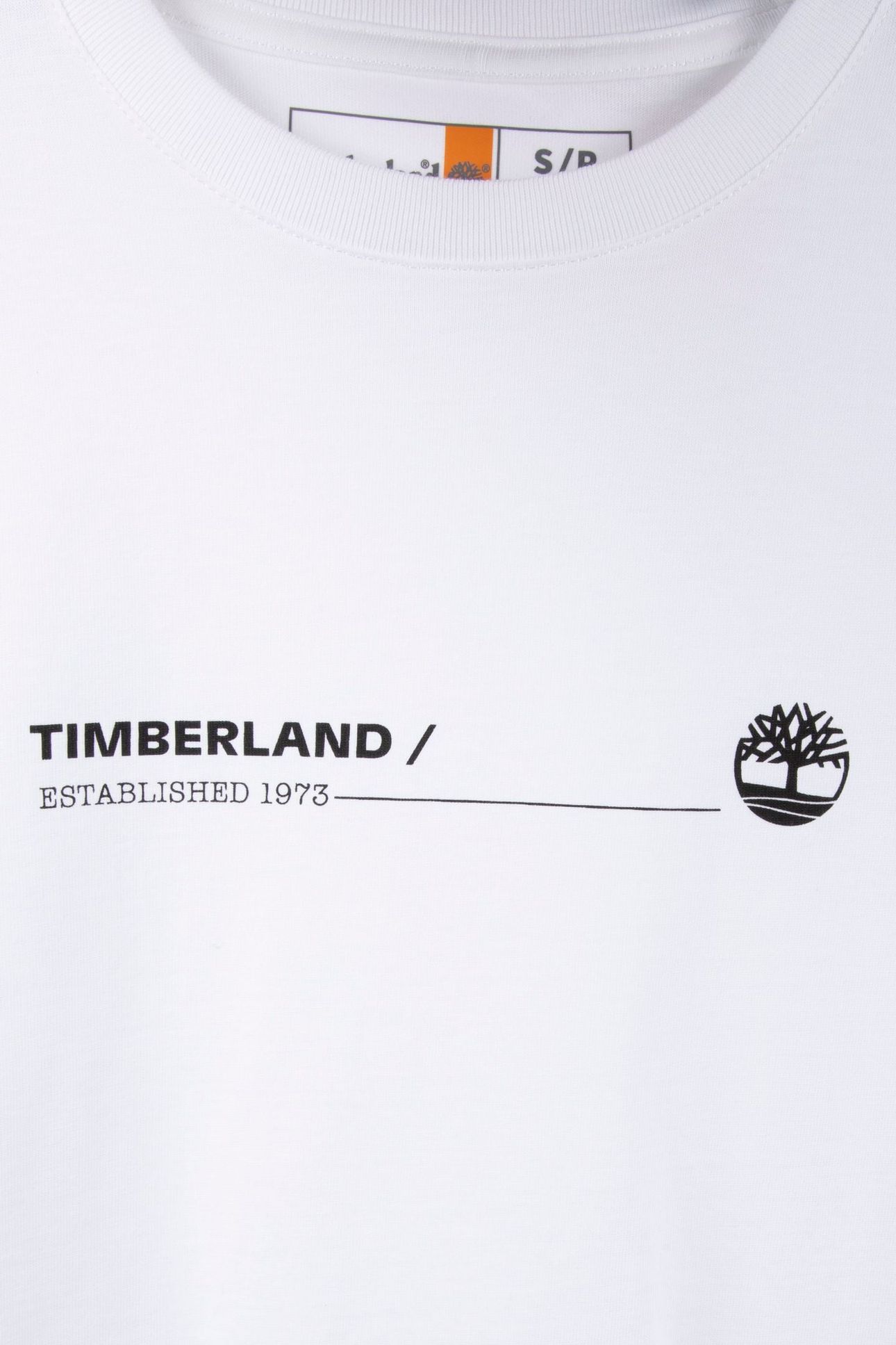 OCEAN BACK GRAPHIC SS TEE WHITE 4