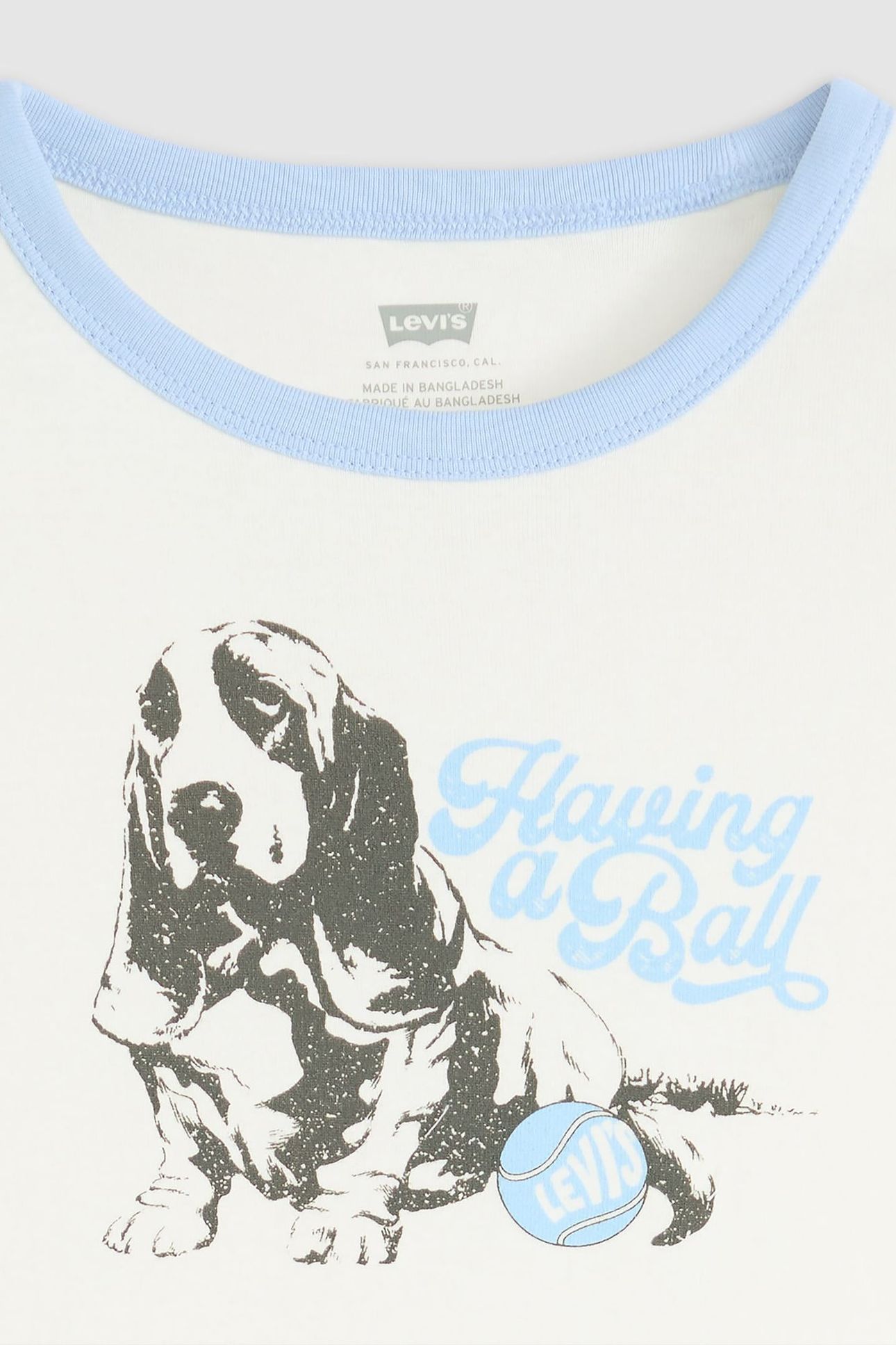 GRAPHIC RINGER RICKIE HAVING A BALL DOG 5