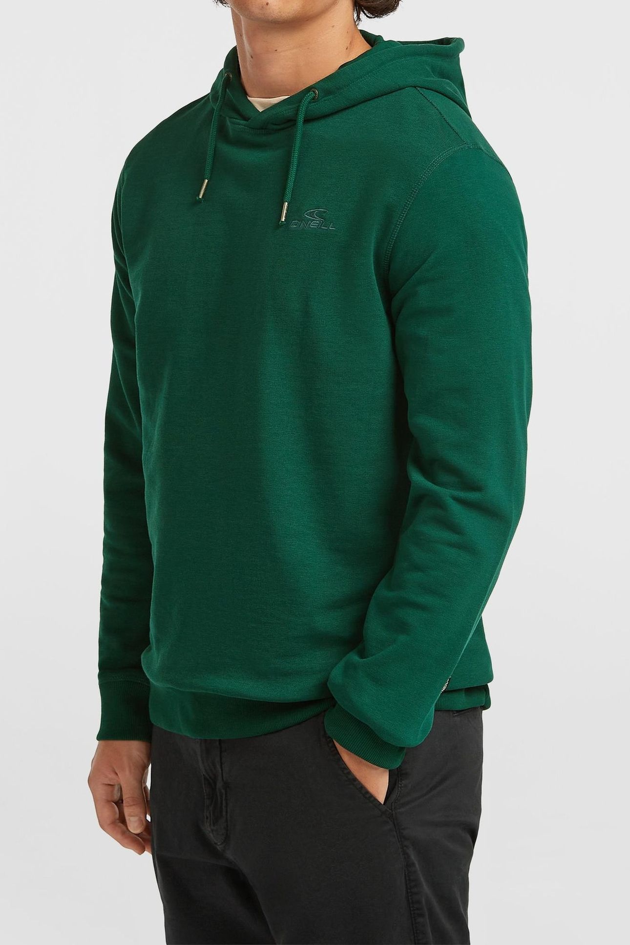 SMALL LOGO HOODIE EMERALD ENVY 3
