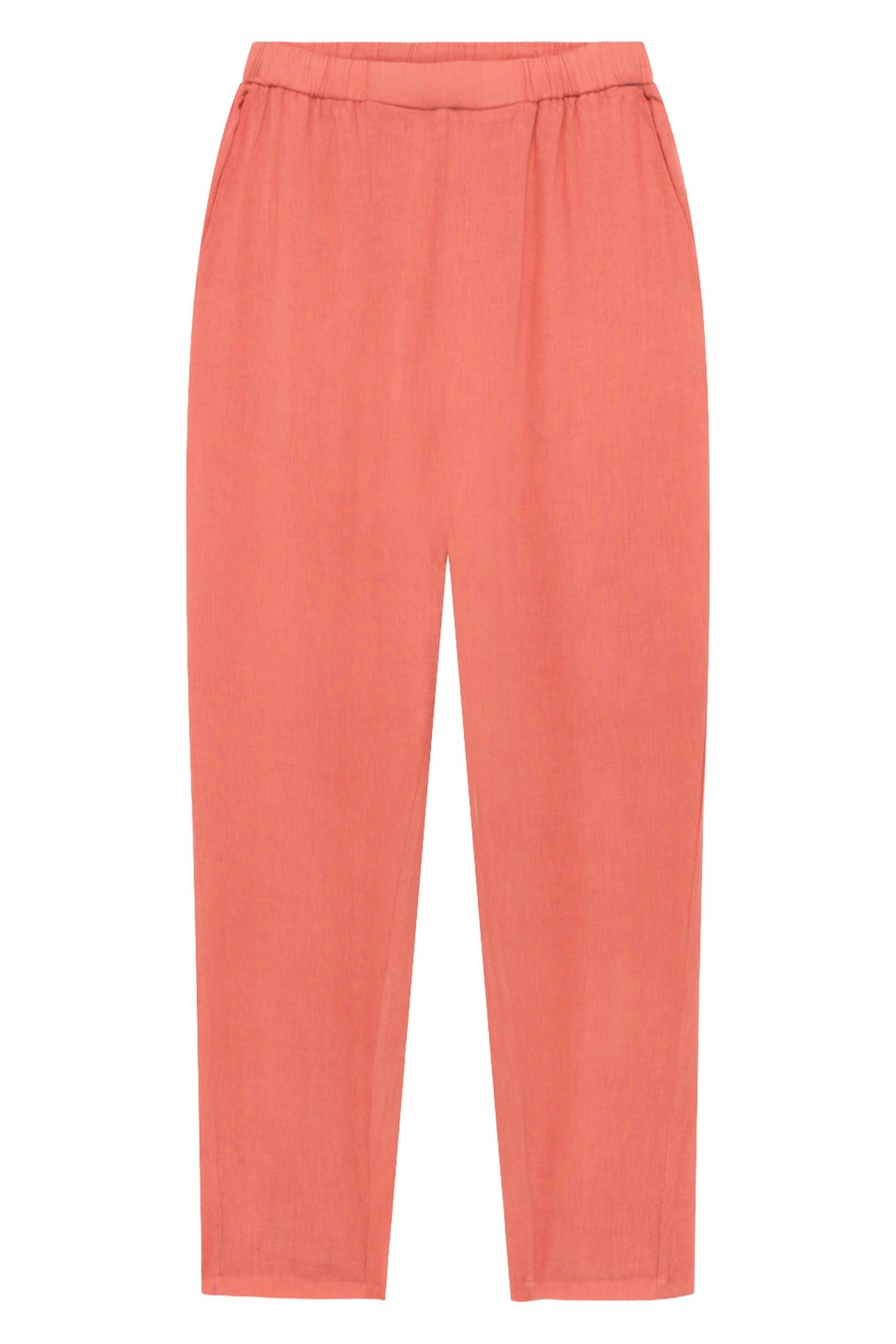 FICOBAY PANT ORCHIDEE 4
