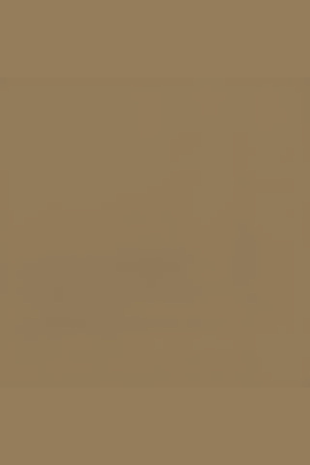 JUNIOR SHORT LIGHT KHAKI 8