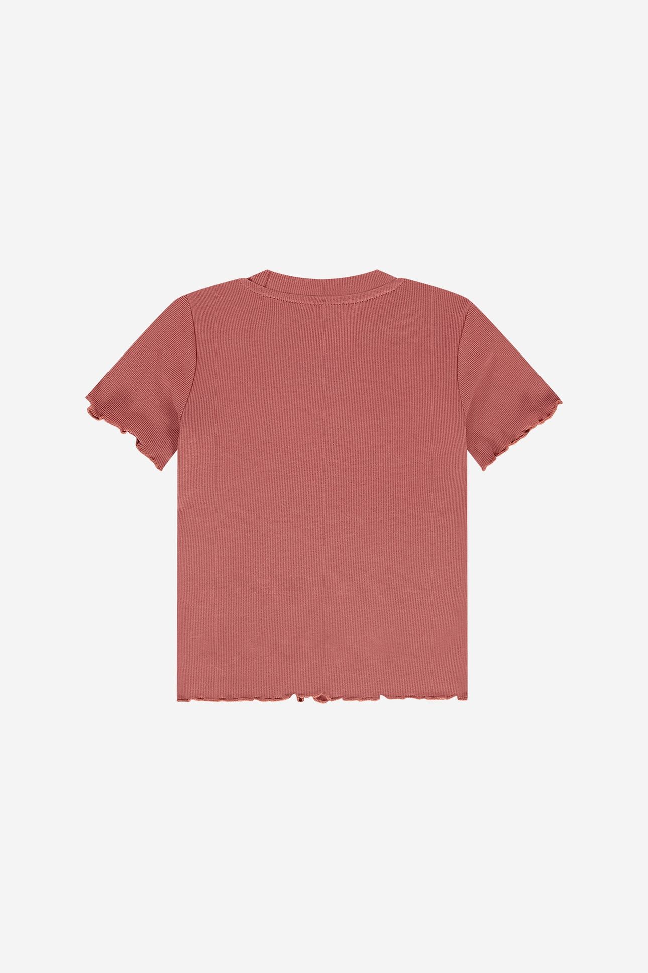 GRADIENT RIB T-SHIRT DUSTY ROSE 2