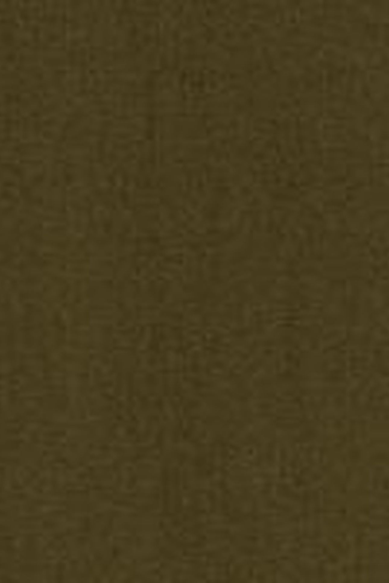 DRAWSTRING LINEN BLEND TROUSER KHAKI GREEN 5