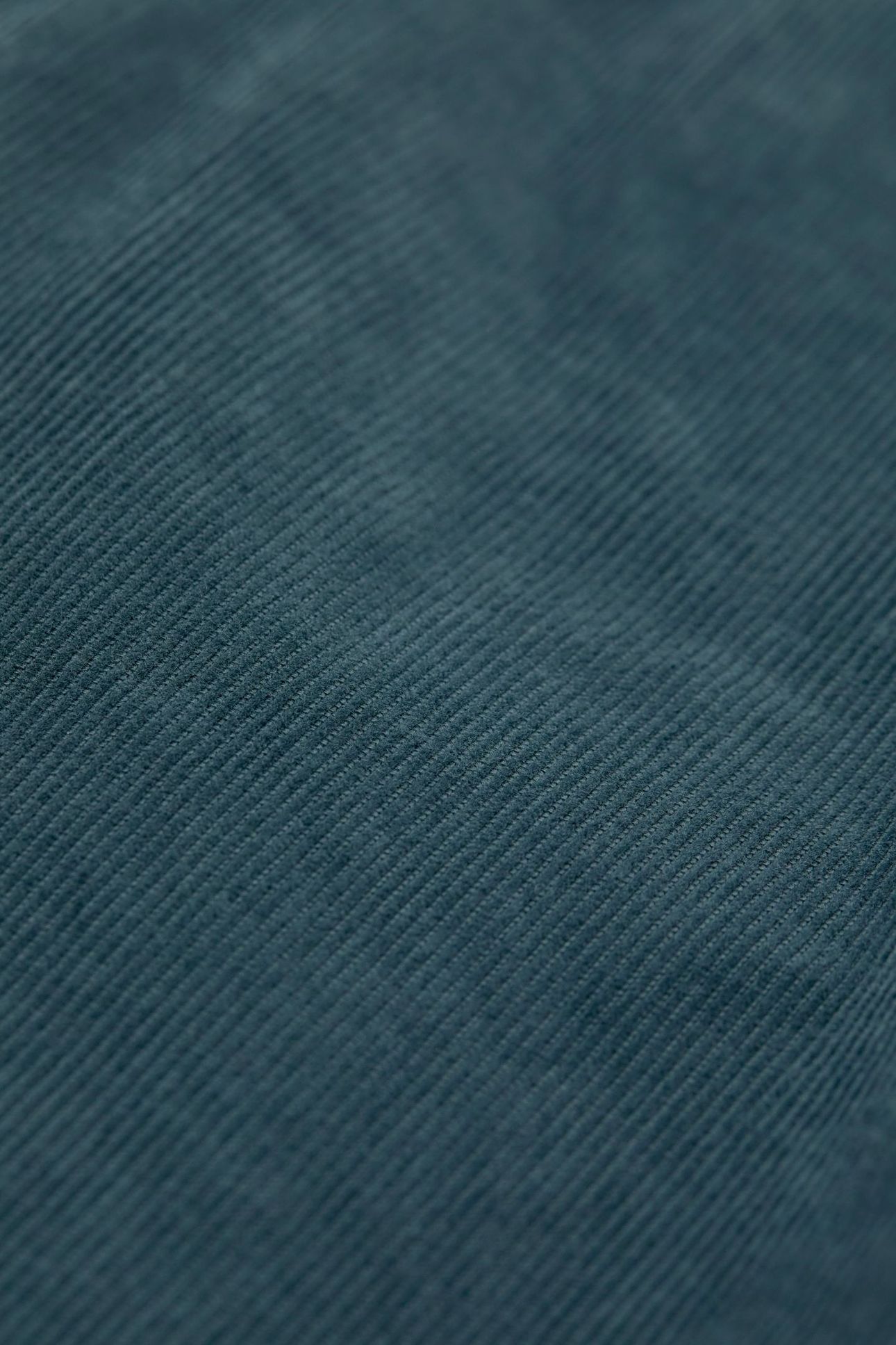 WHARTON PANTS PINI GREEN 7