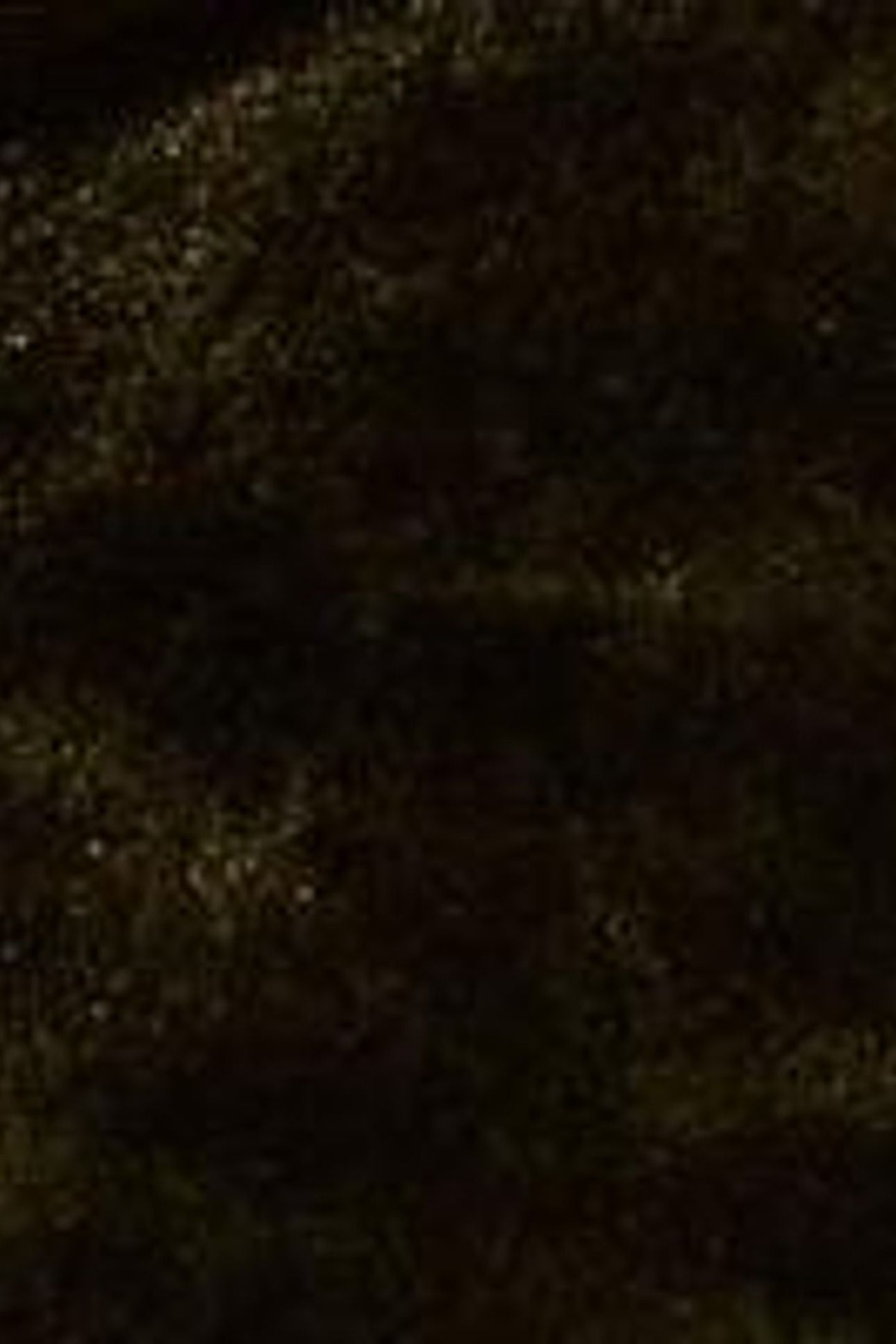 OLIVE VELVET TUNIC KHAKI GREEN 5