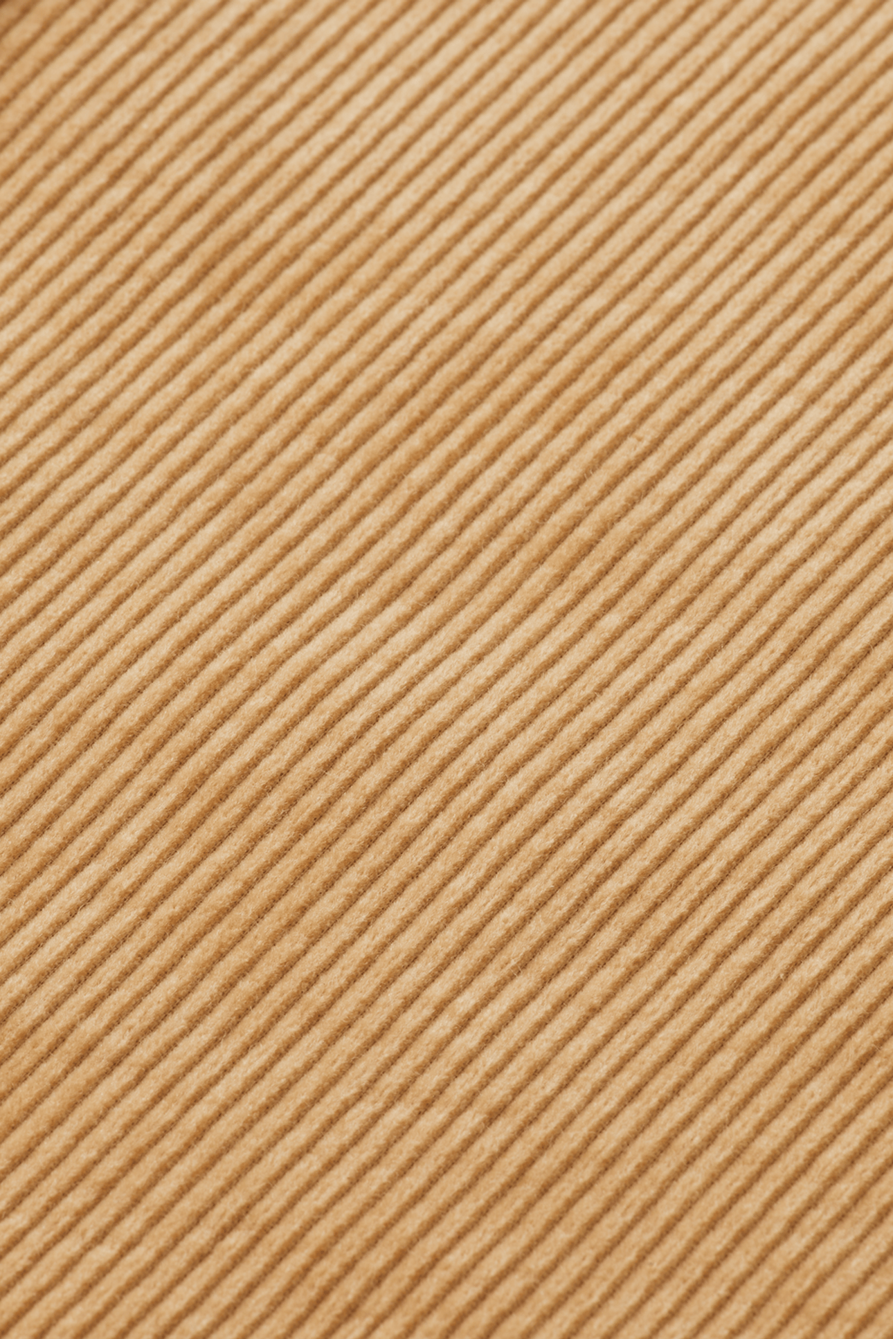 REGULAR-FIT CORDUROY SHIRT TANNIN 6