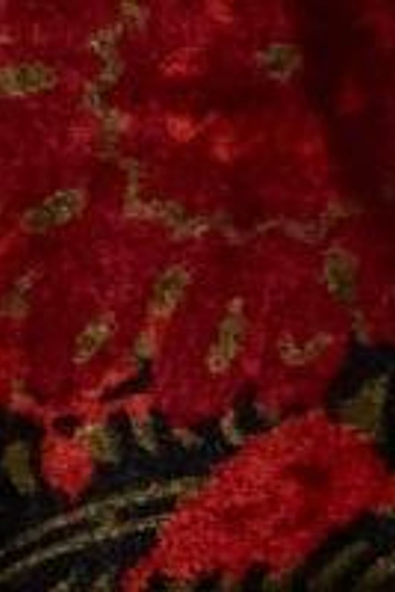 CLEO VELVET MIX DRESS GREEN PRINT 7