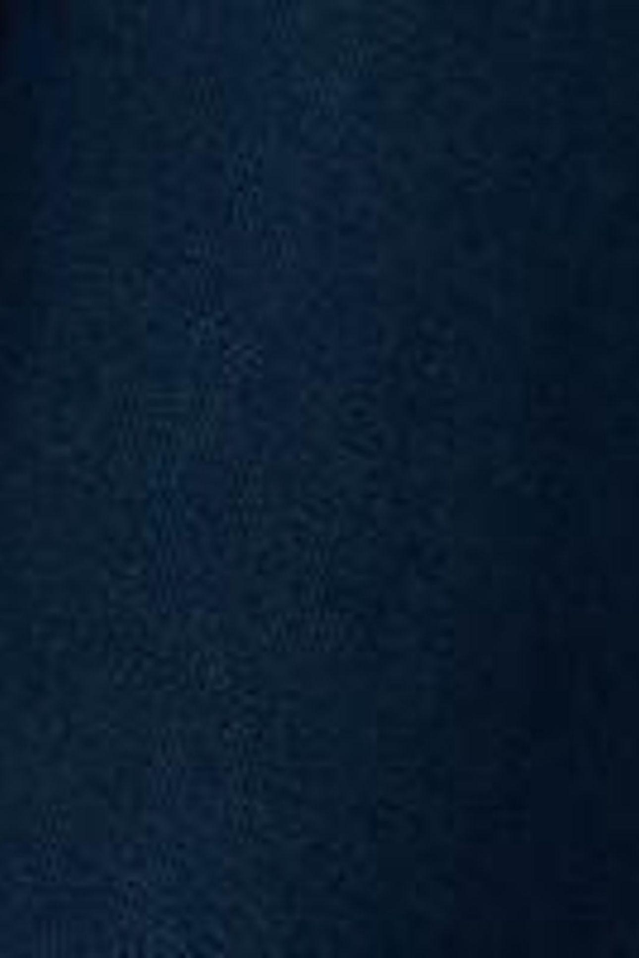 DEMI UTILITY LINEN JACKET DARK NAVY 6