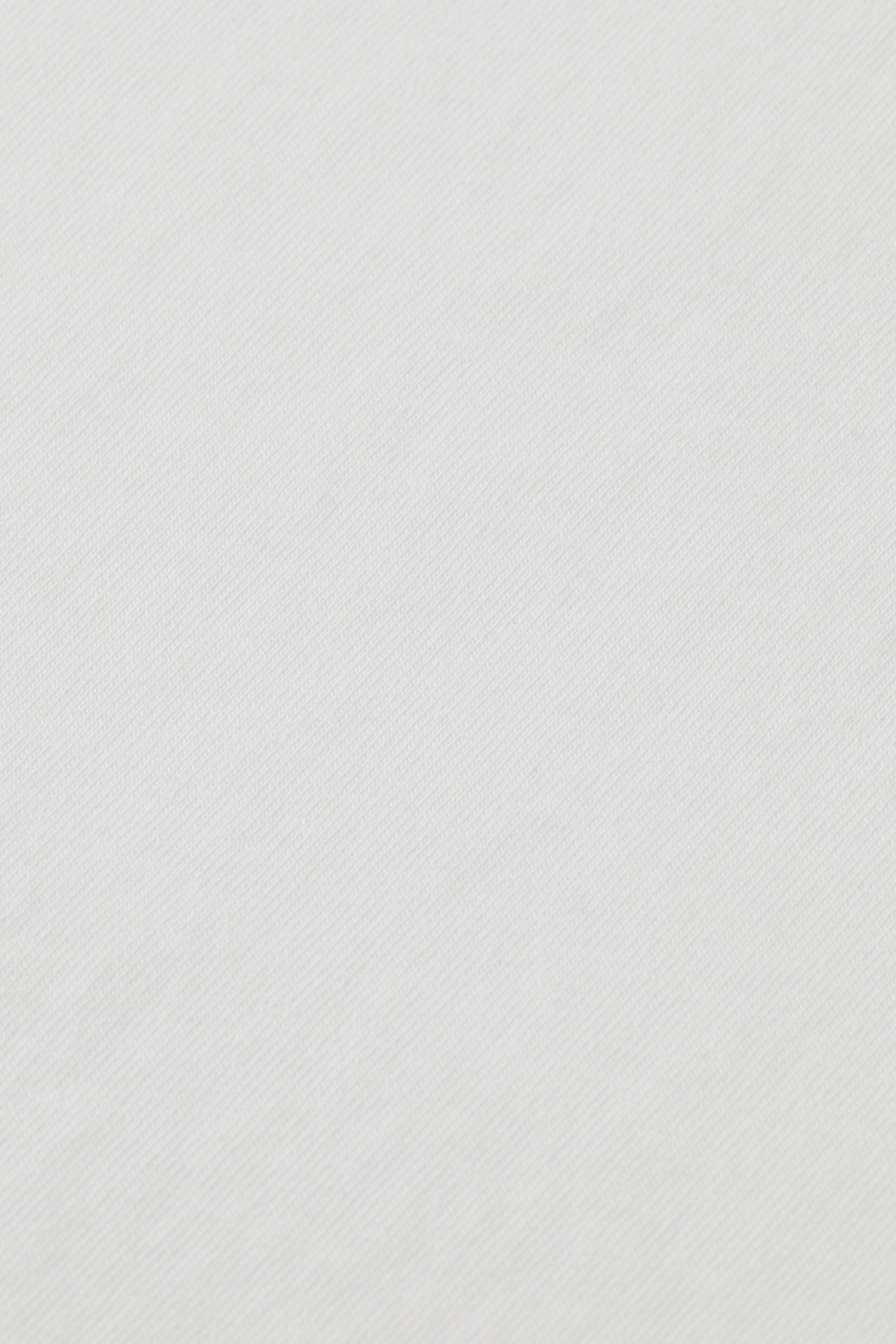 RAW EDGE T-SHIRT BRIGHT WHITE 4