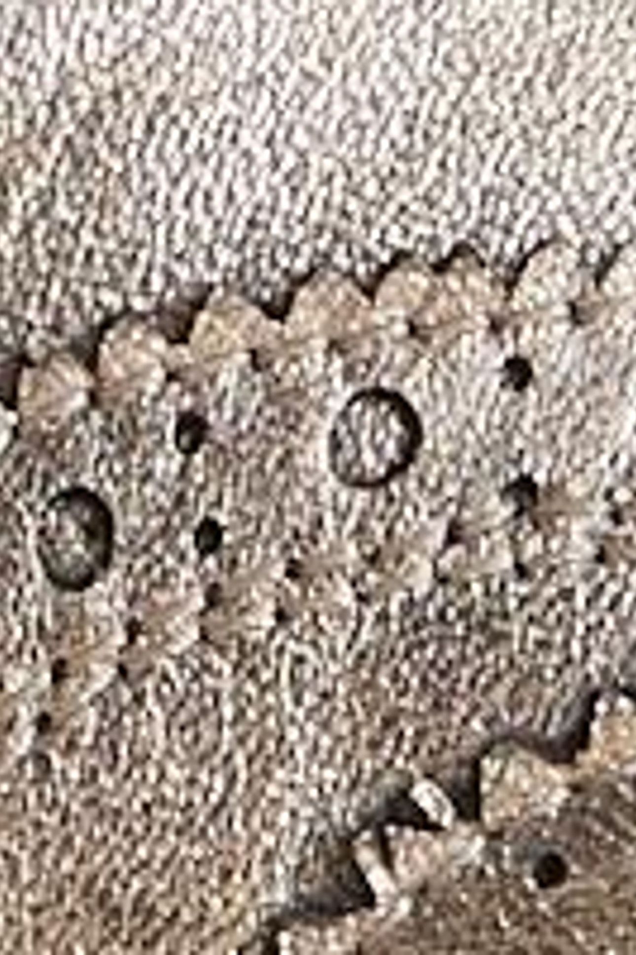 THISTLE LEATHER LACE UP BROGUE COLOURED METALLIC 6