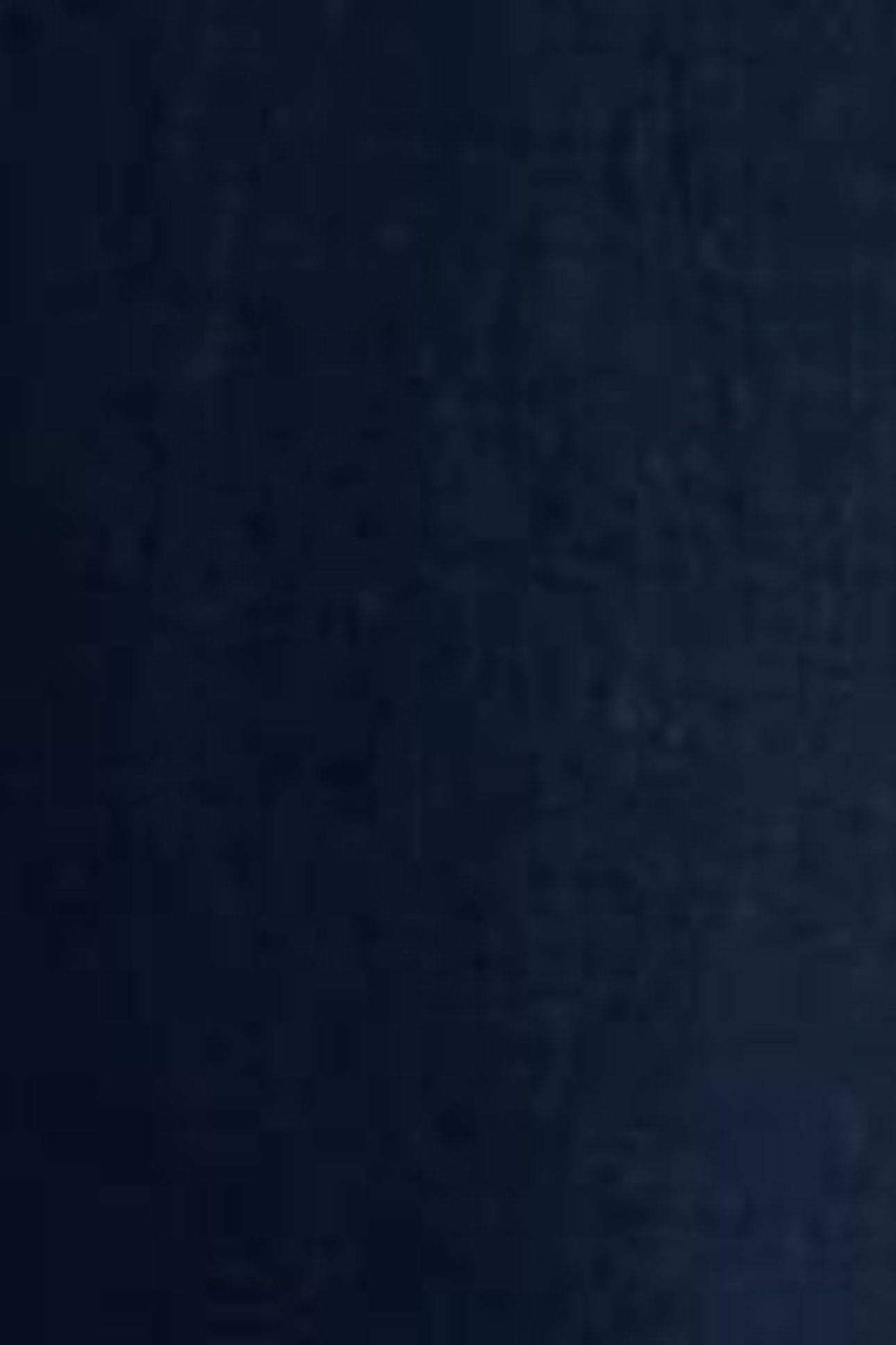SHELLY LINEN BLEND CULOTTE DARK NAVY 6