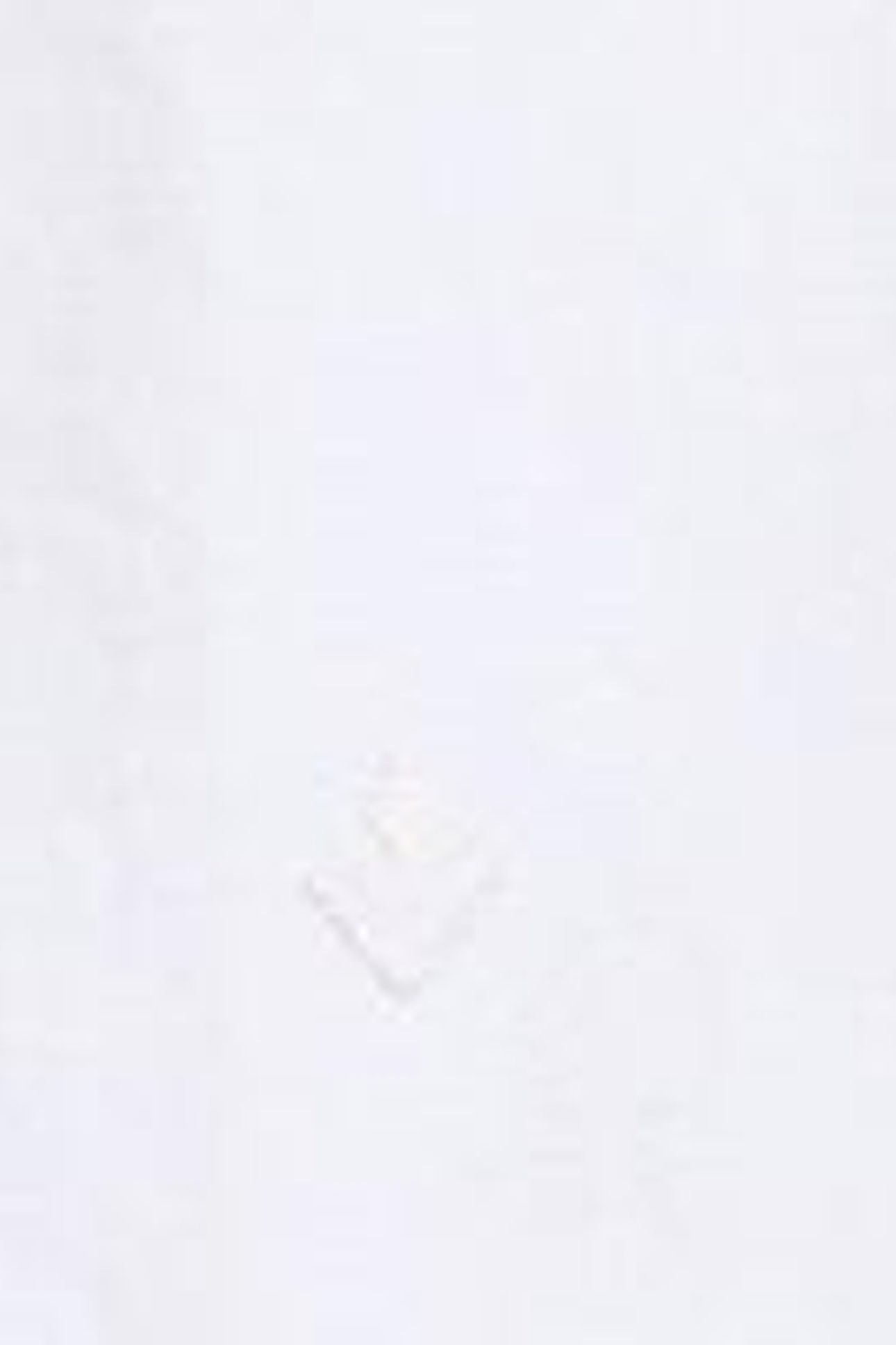 SOPHIE LONGLINE COTTON SHIRT PALE IVORY 7