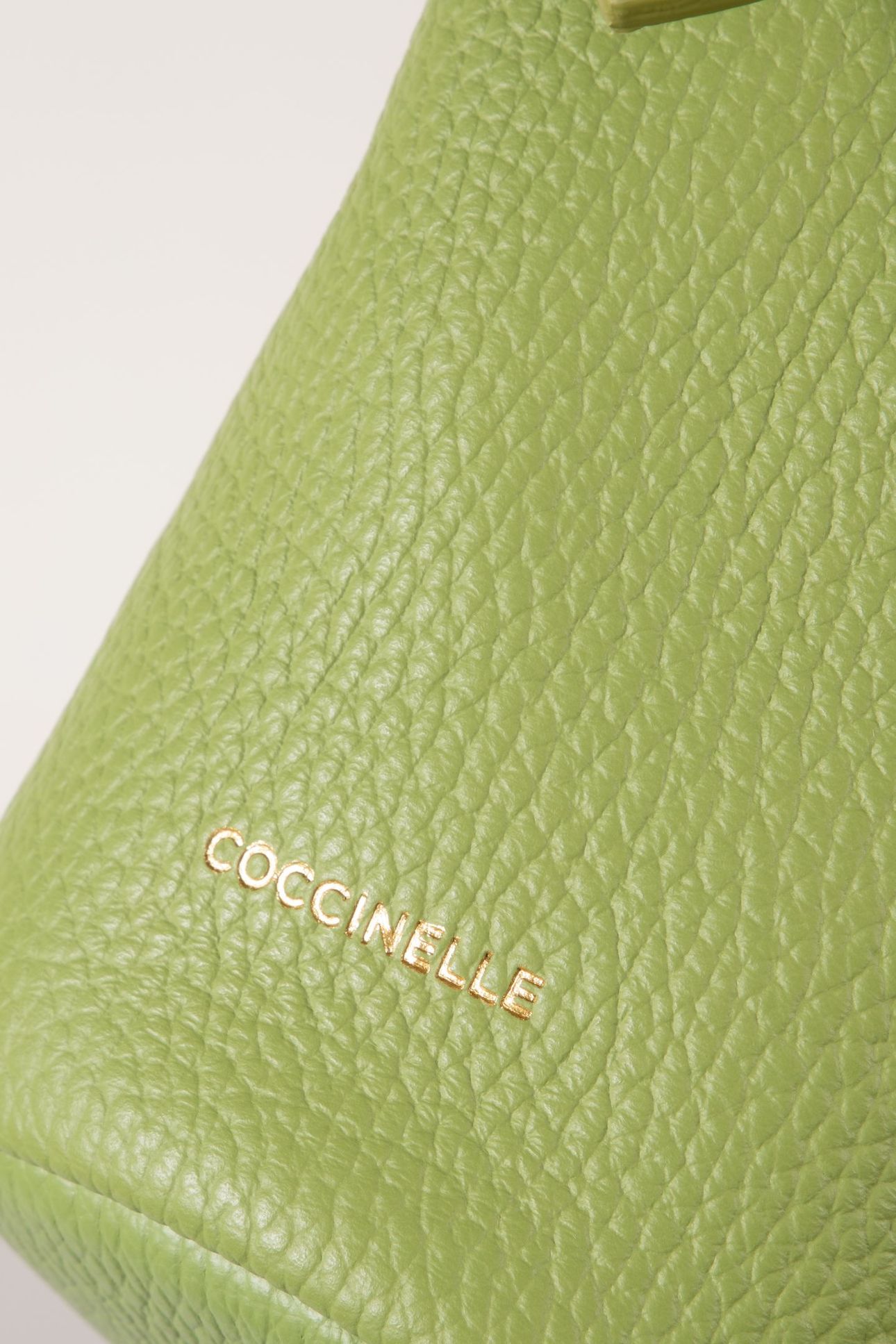 COCCINELLEFERNANDA GUACAMOLE 4