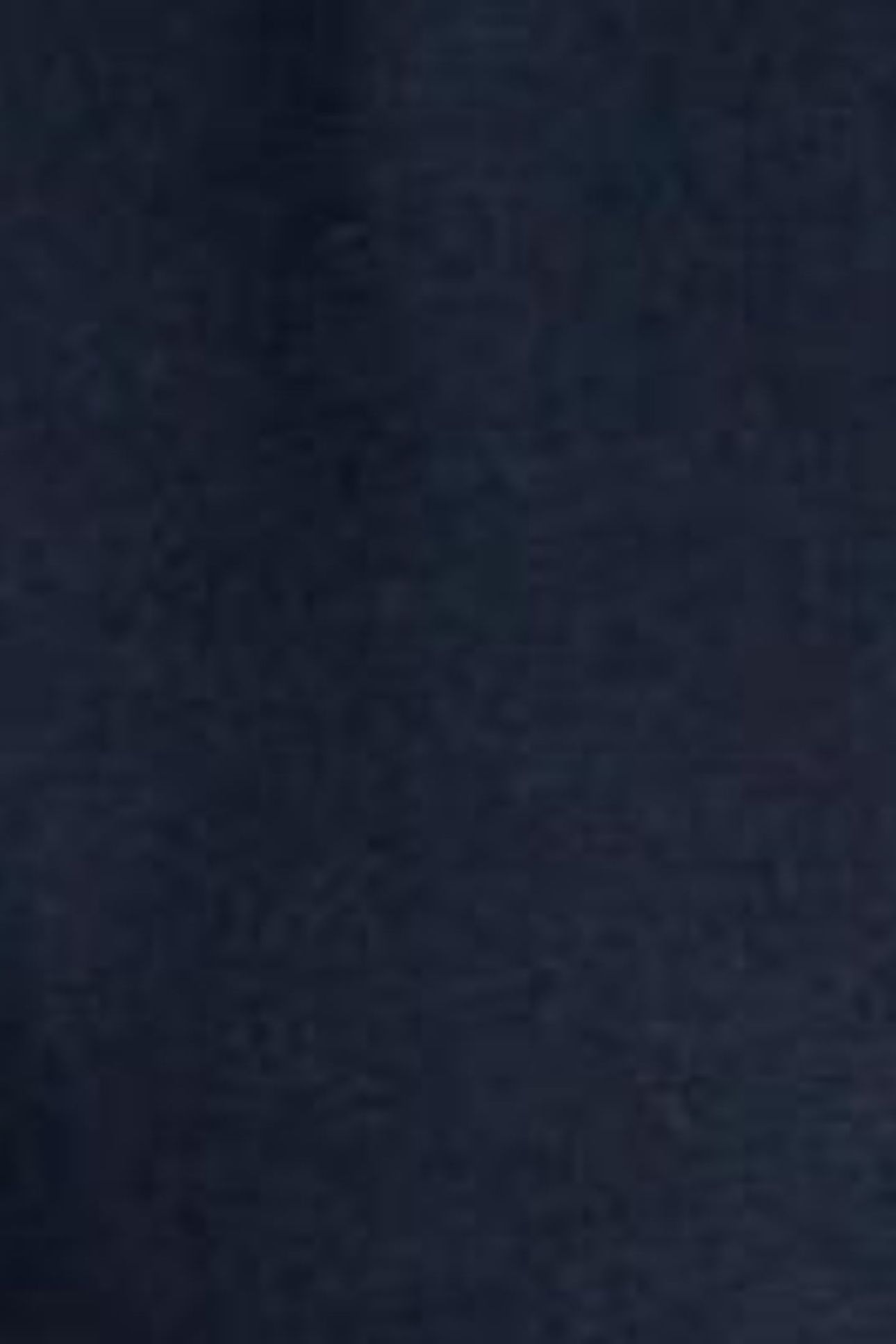 MARIA MIX TUNIC FRENCH NAVY 7