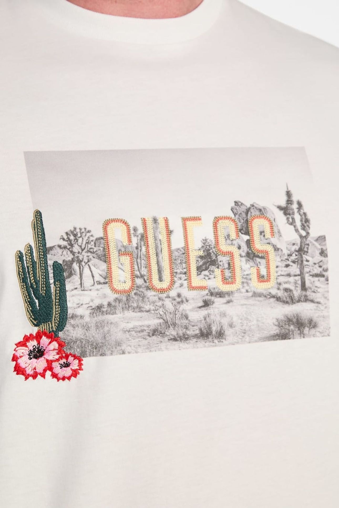 SS BSC CACTUS GARDEN SALT WHITE 4