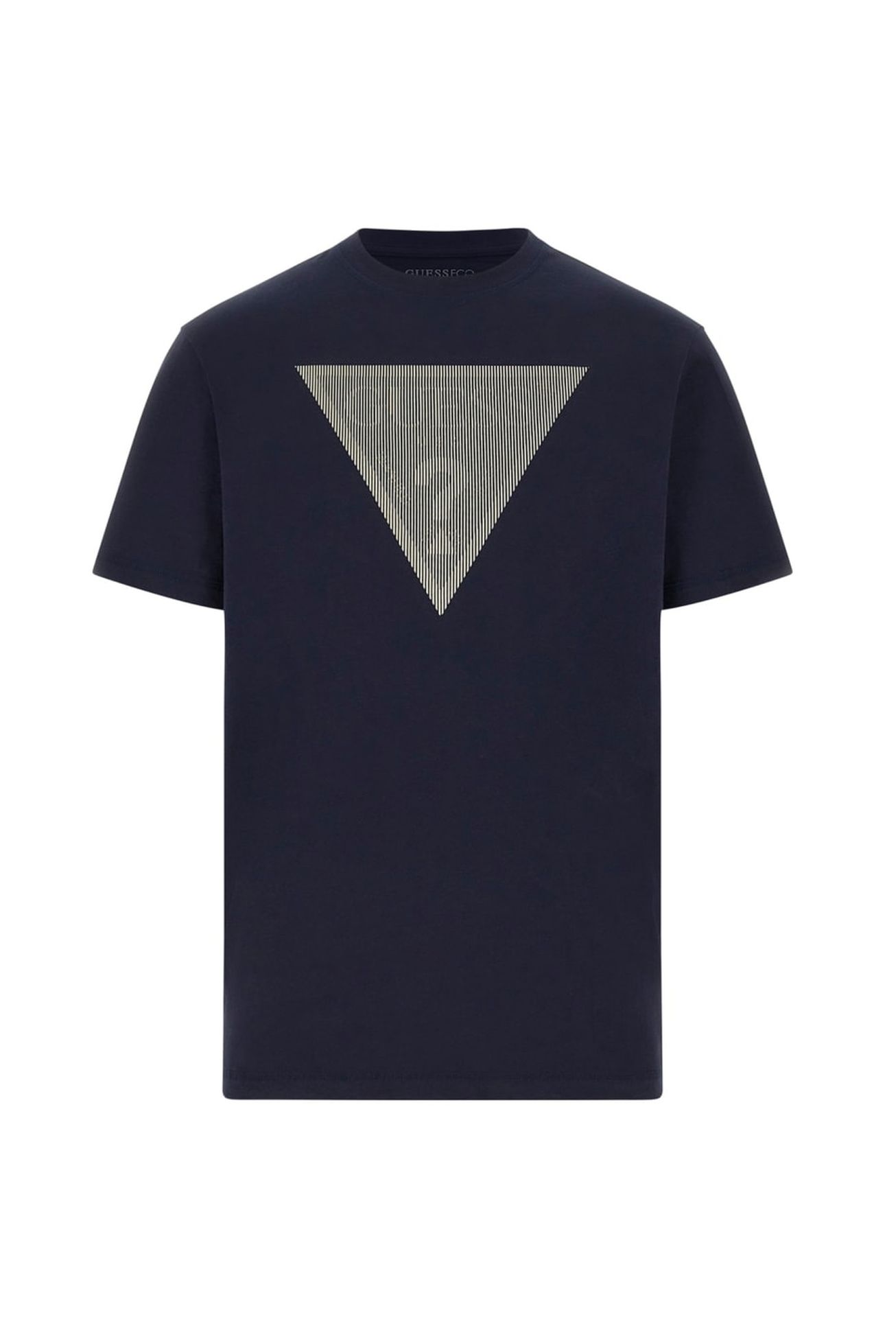 CN SS TRIANGLE LOGO SMART BLUE 5