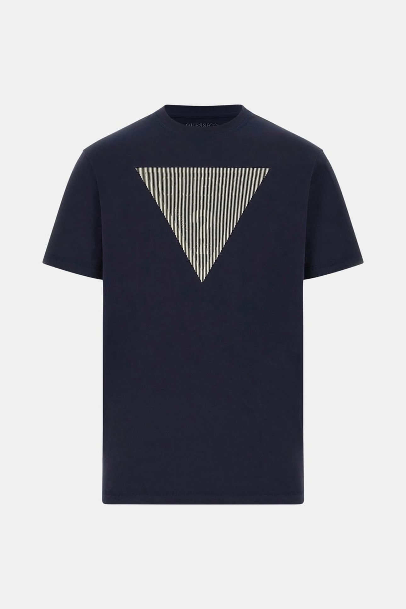 CN SS TRIANGLE LOGO SMART BLUE 4