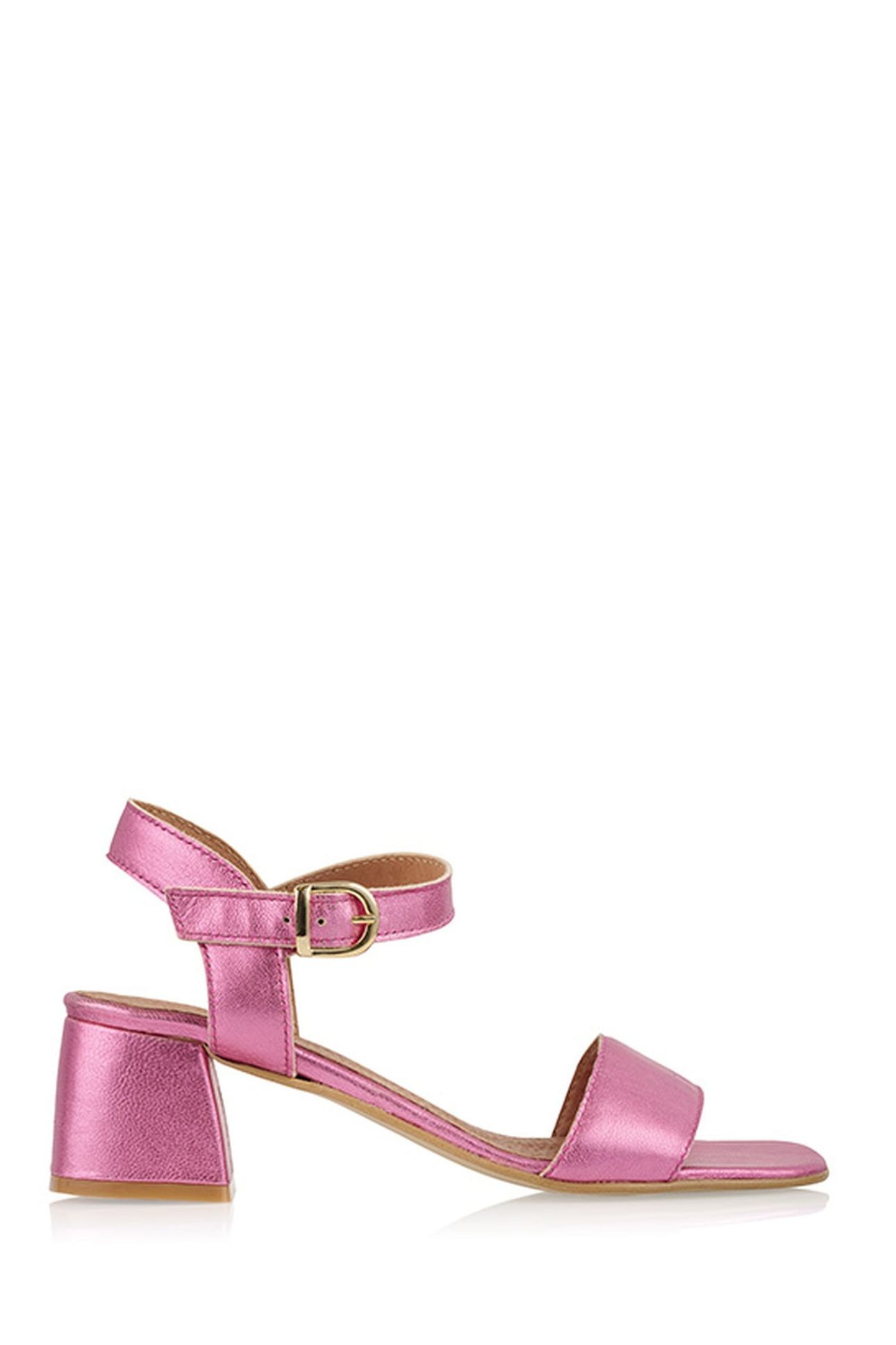 PISA PINK 1