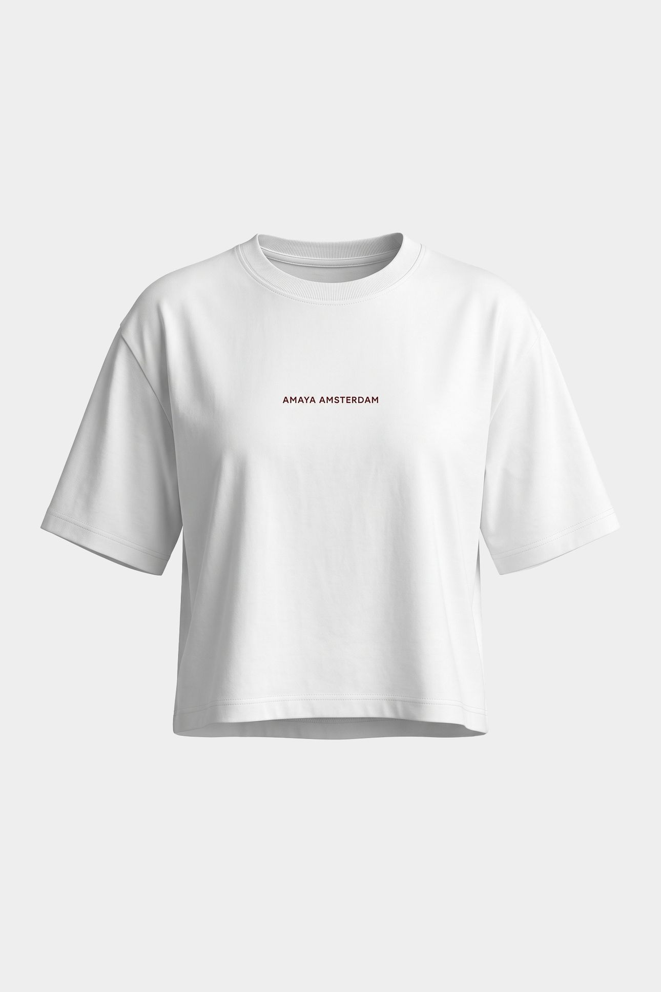 BAILEY T-SHIRT WHITERED 3