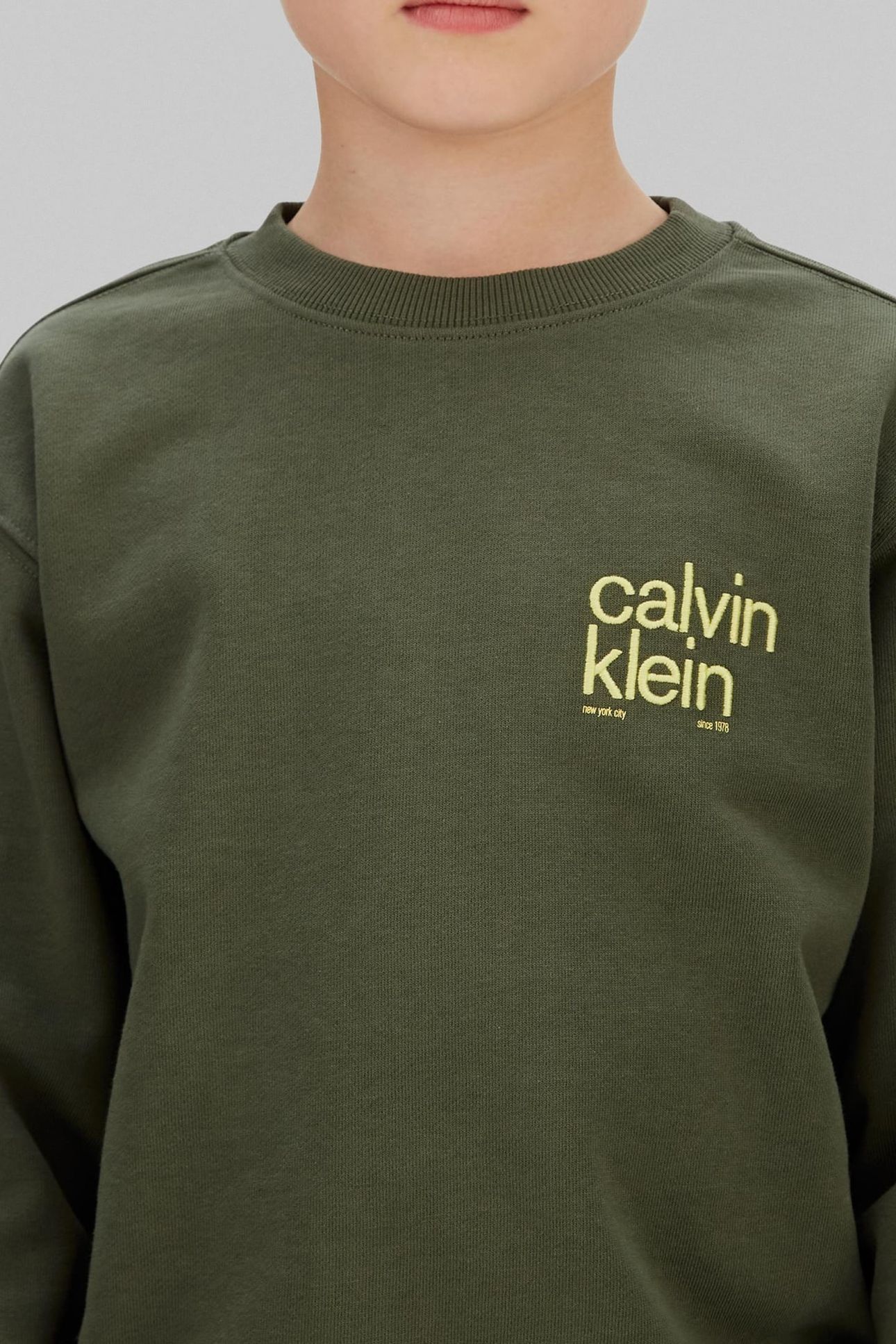 BOYS RELAXED BACK PRINT CREW THYME 6